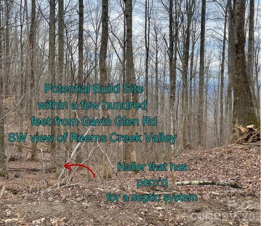 125 Gavin Glen Road - Photo 5