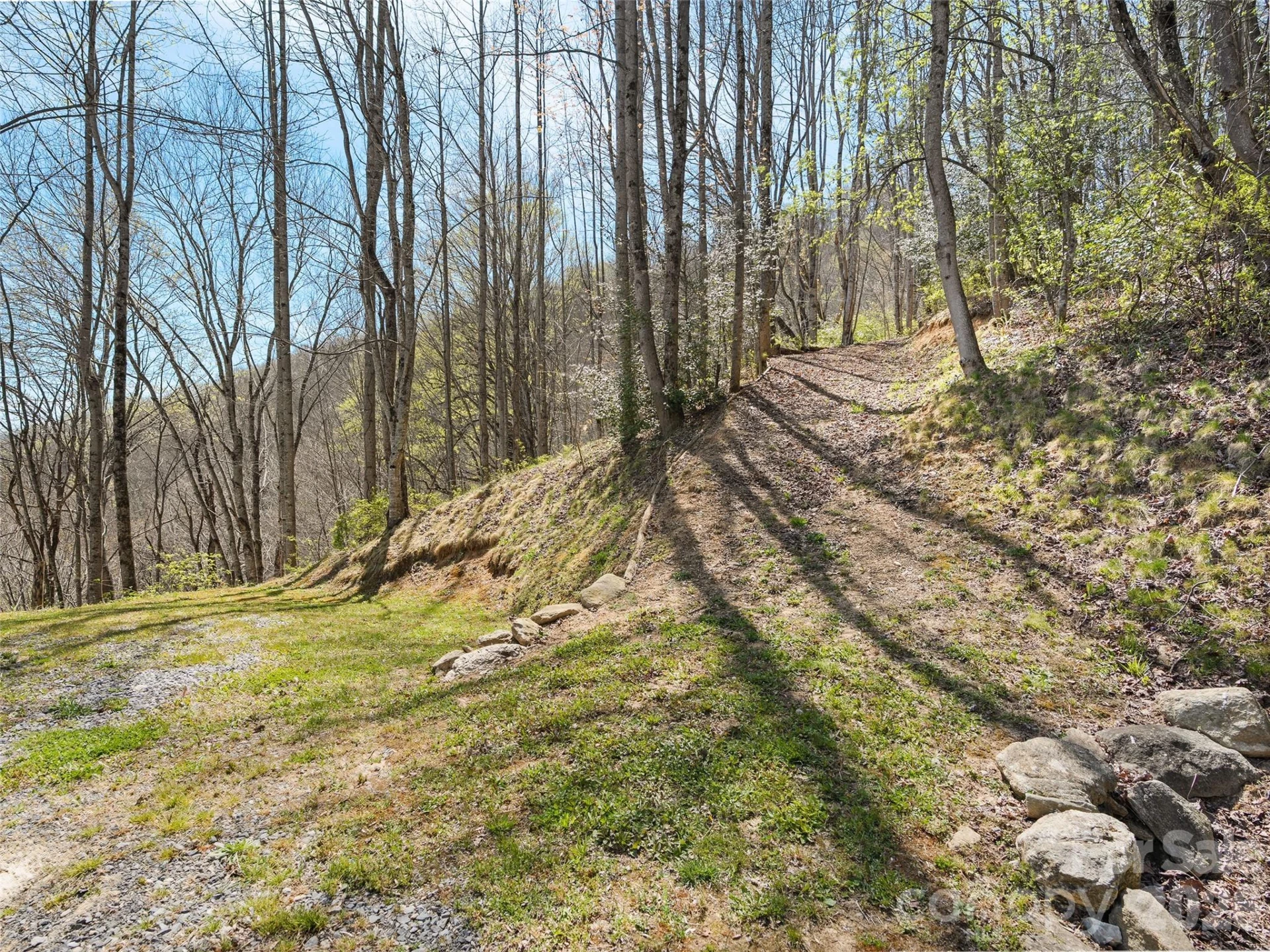 4823 Max Patch Road - Photo 31