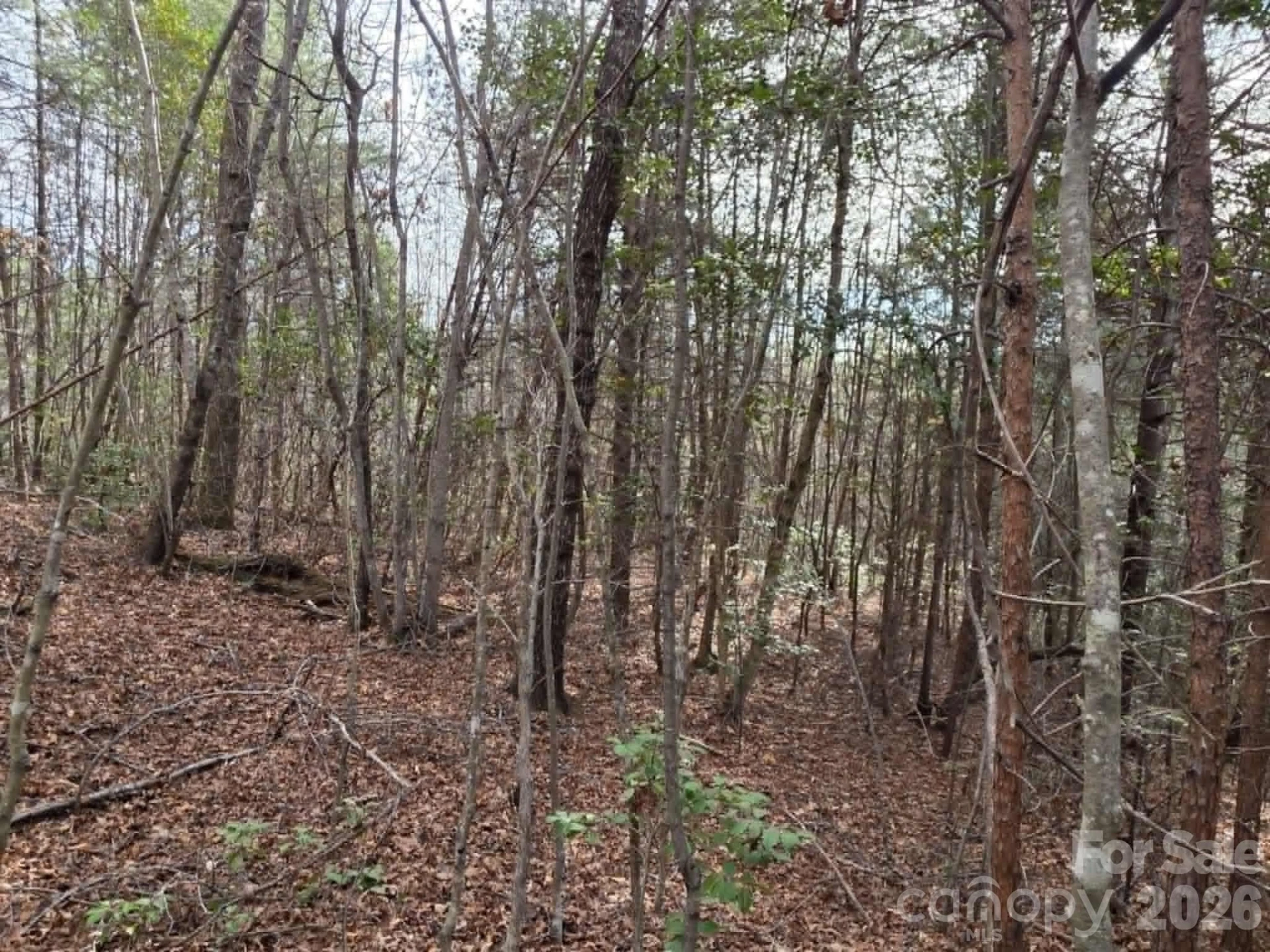 Lot 6 Kerlee Lane - Photo 2