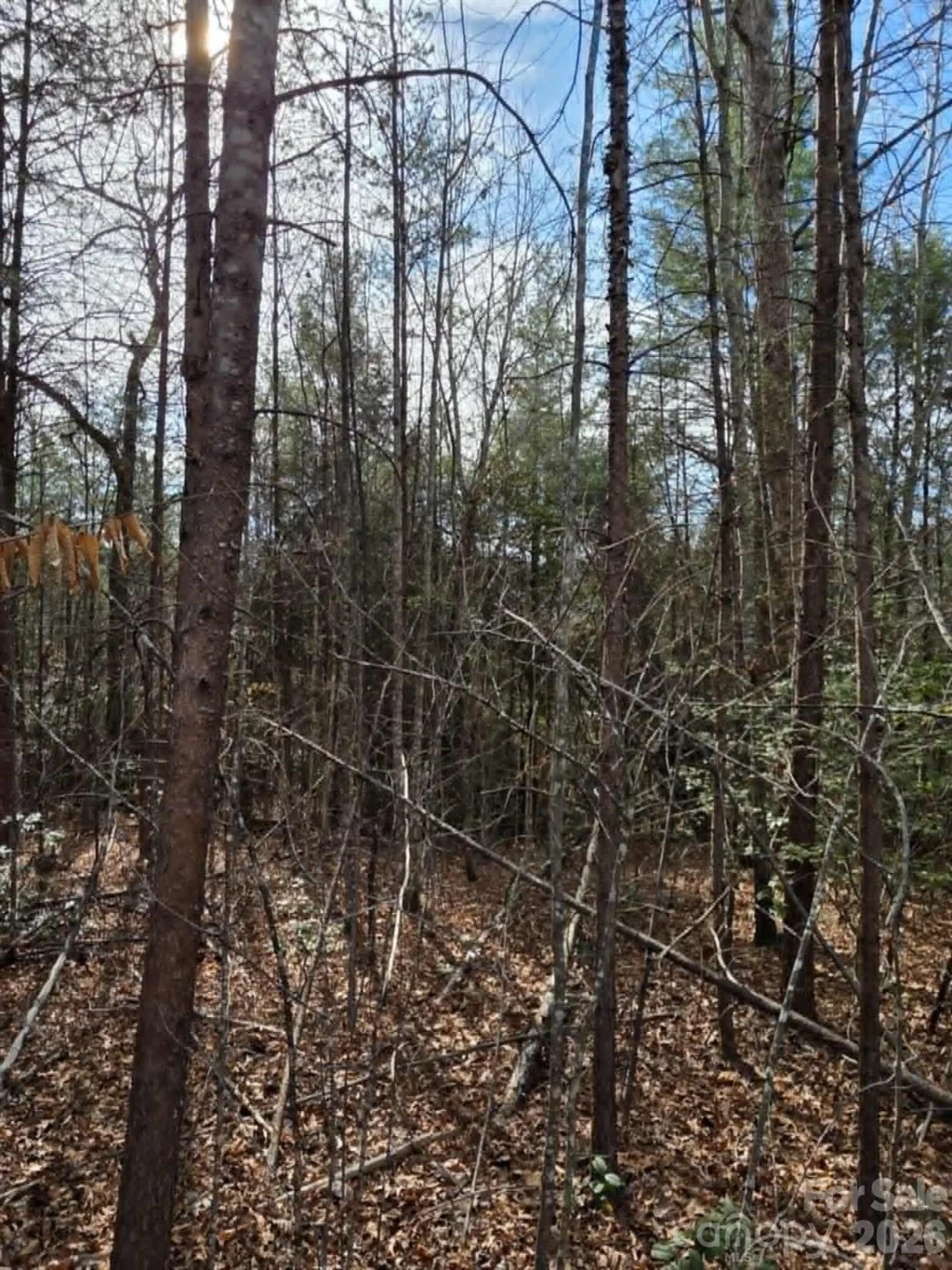 Lot 6 Kerlee Lane - Photo 3