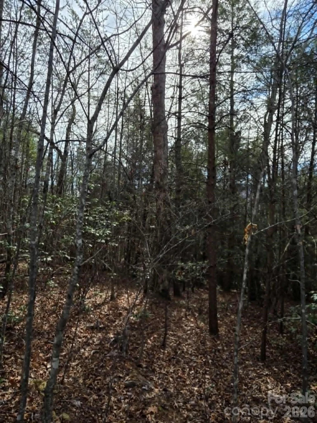 Lot 6 Kerlee Lane - Photo 4