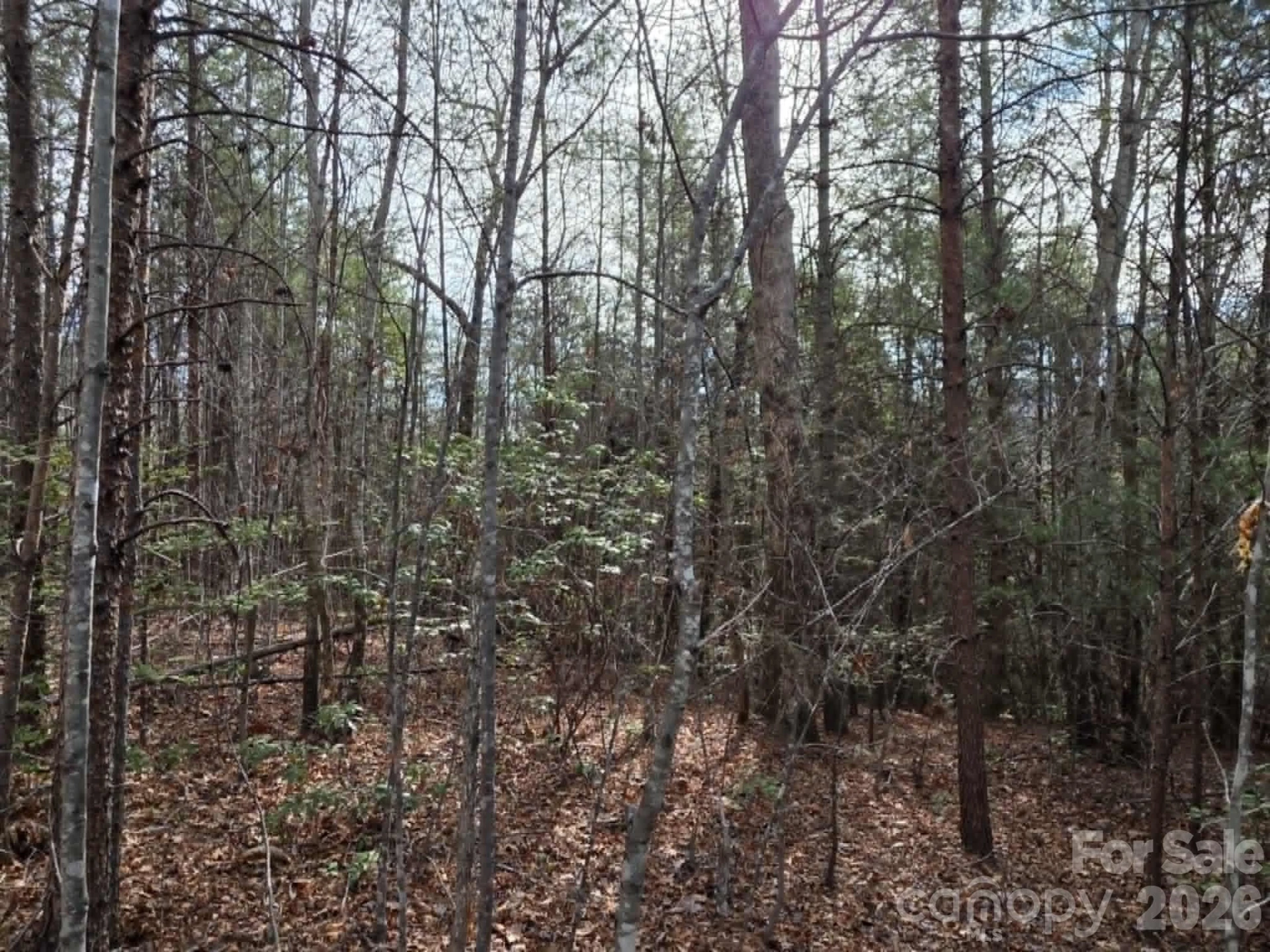 Lot 6 Kerlee Lane - Photo 5