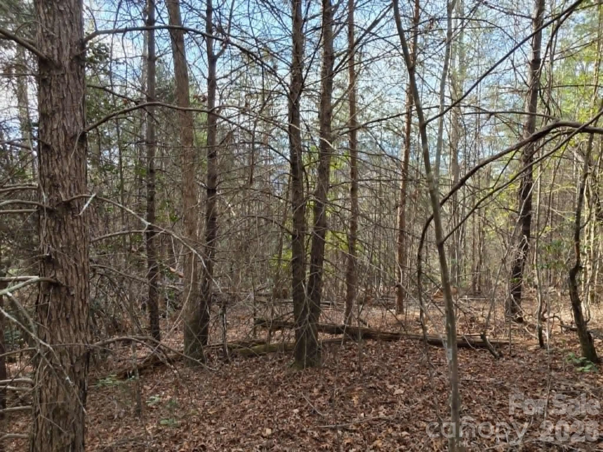Lot 6 Kerlee Lane - Photo 6