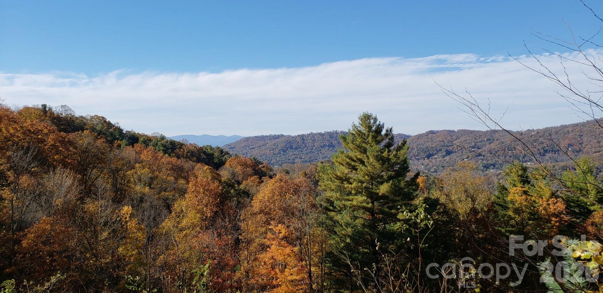 11 Franklin Trace Drive #15 - Photo 9