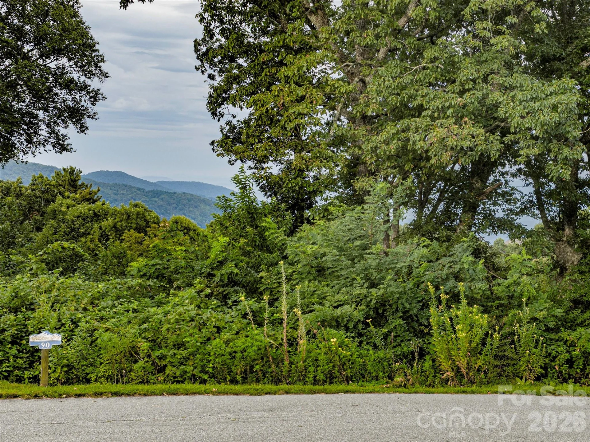 Lot #90 Summerset Drive - Photo 3