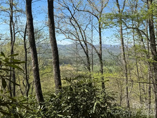 33 Reserve Road, Pisgah Forest, NC, 28768