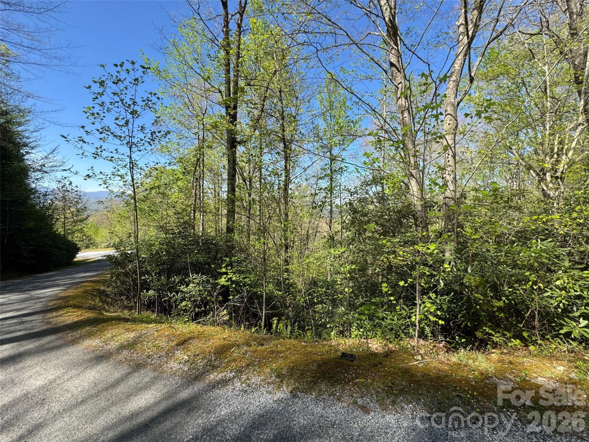 33 Reserve Road #33 - Photo 12