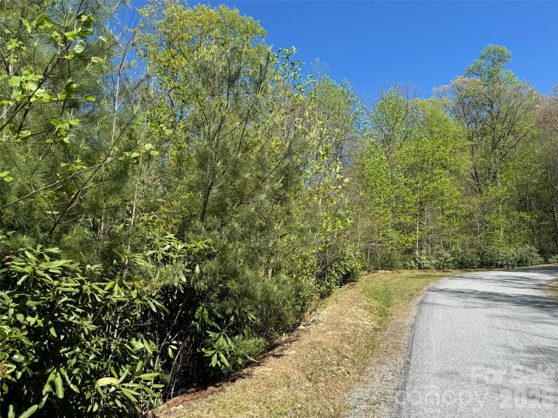 33 Reserve Road #33 - Photo 13