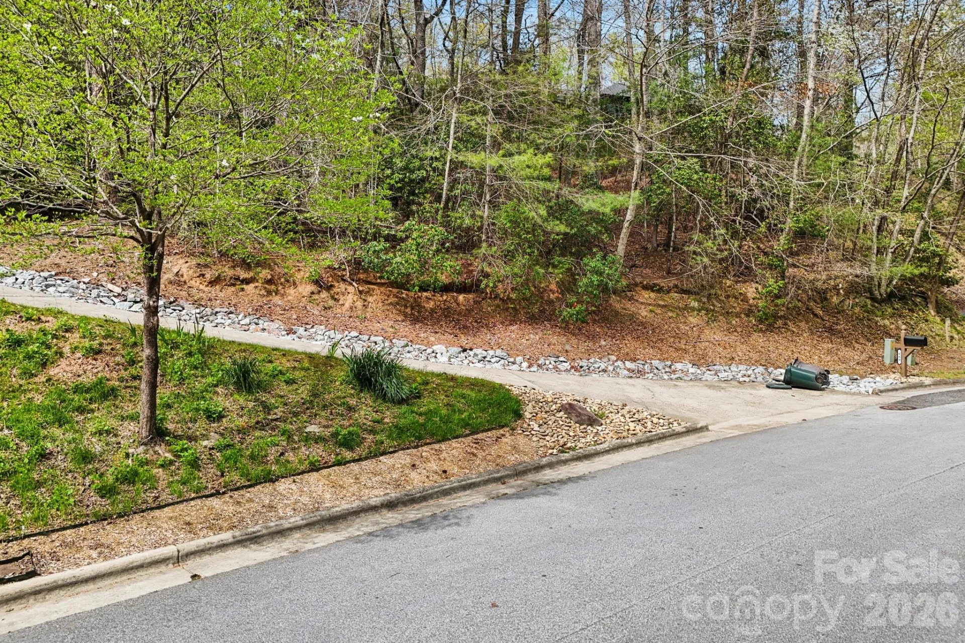 Lot 61 Deerlake Drive - Photo 4