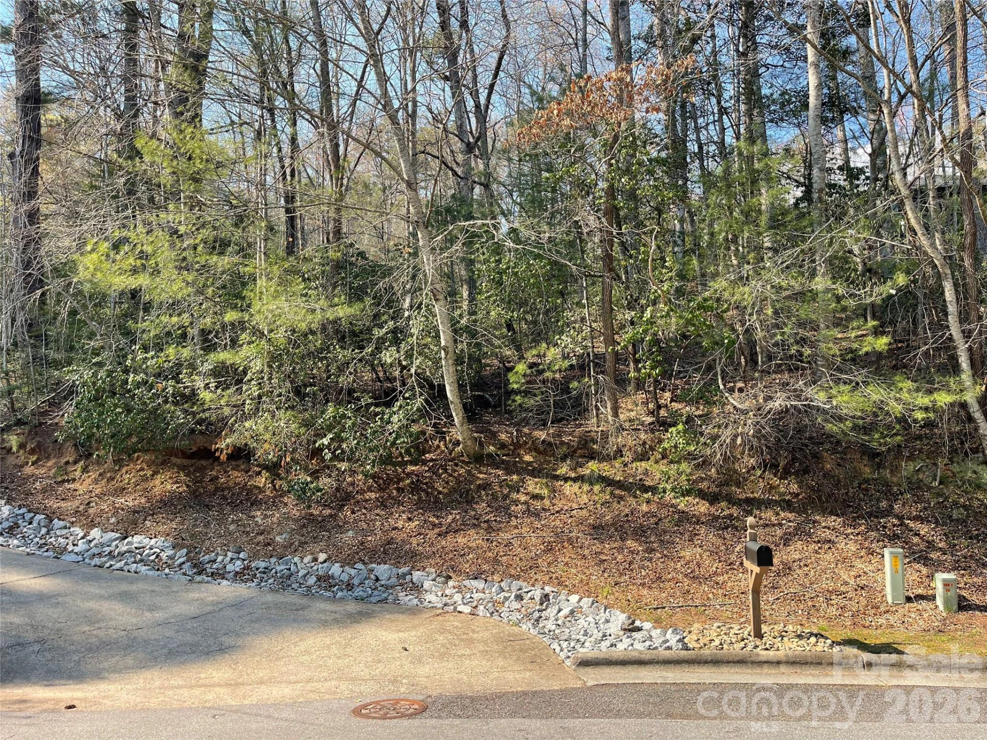 Lot 61 Deerlake Drive - Photo 5