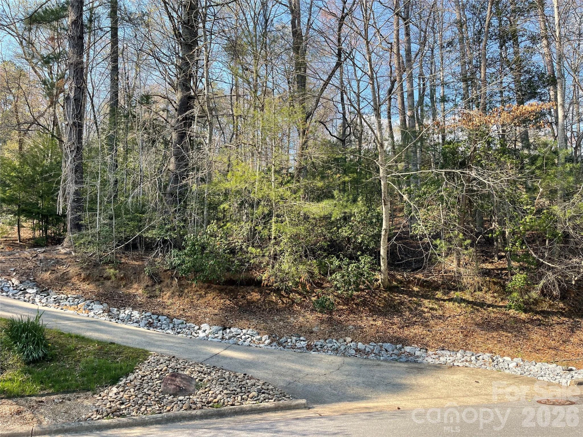 Lot 61 Deerlake Drive - Photo 7