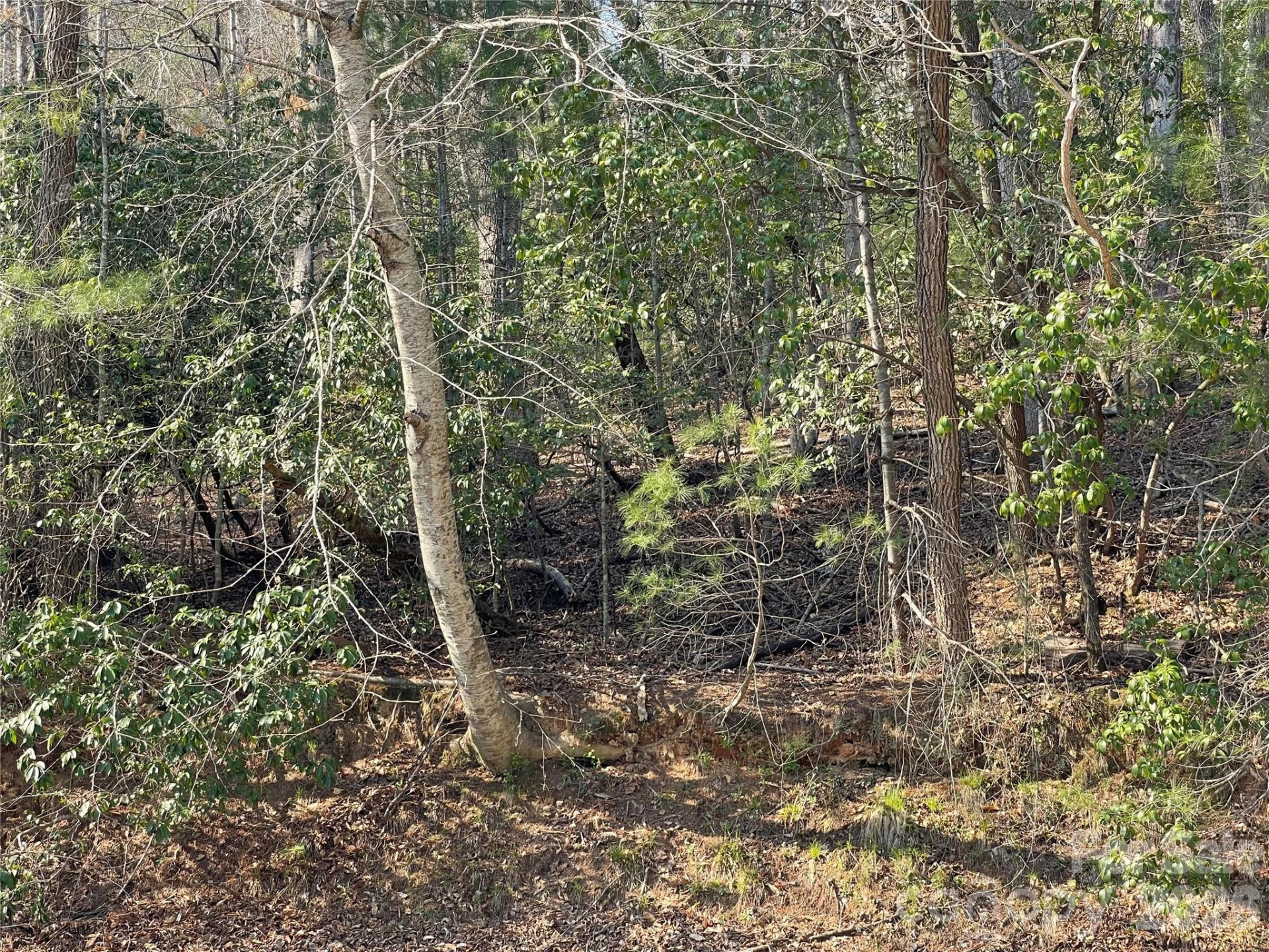 Lot 61 Deerlake Drive - Photo 11