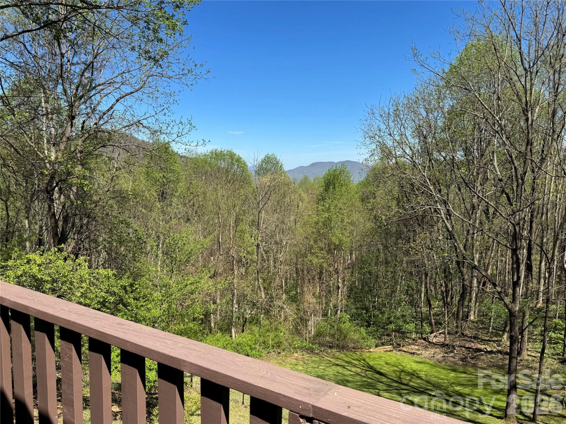 1618 Walnut Creek Road - Photo 3