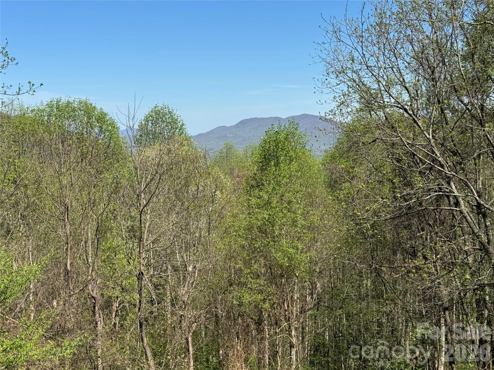 1618 Walnut Creek Road - Photo 24