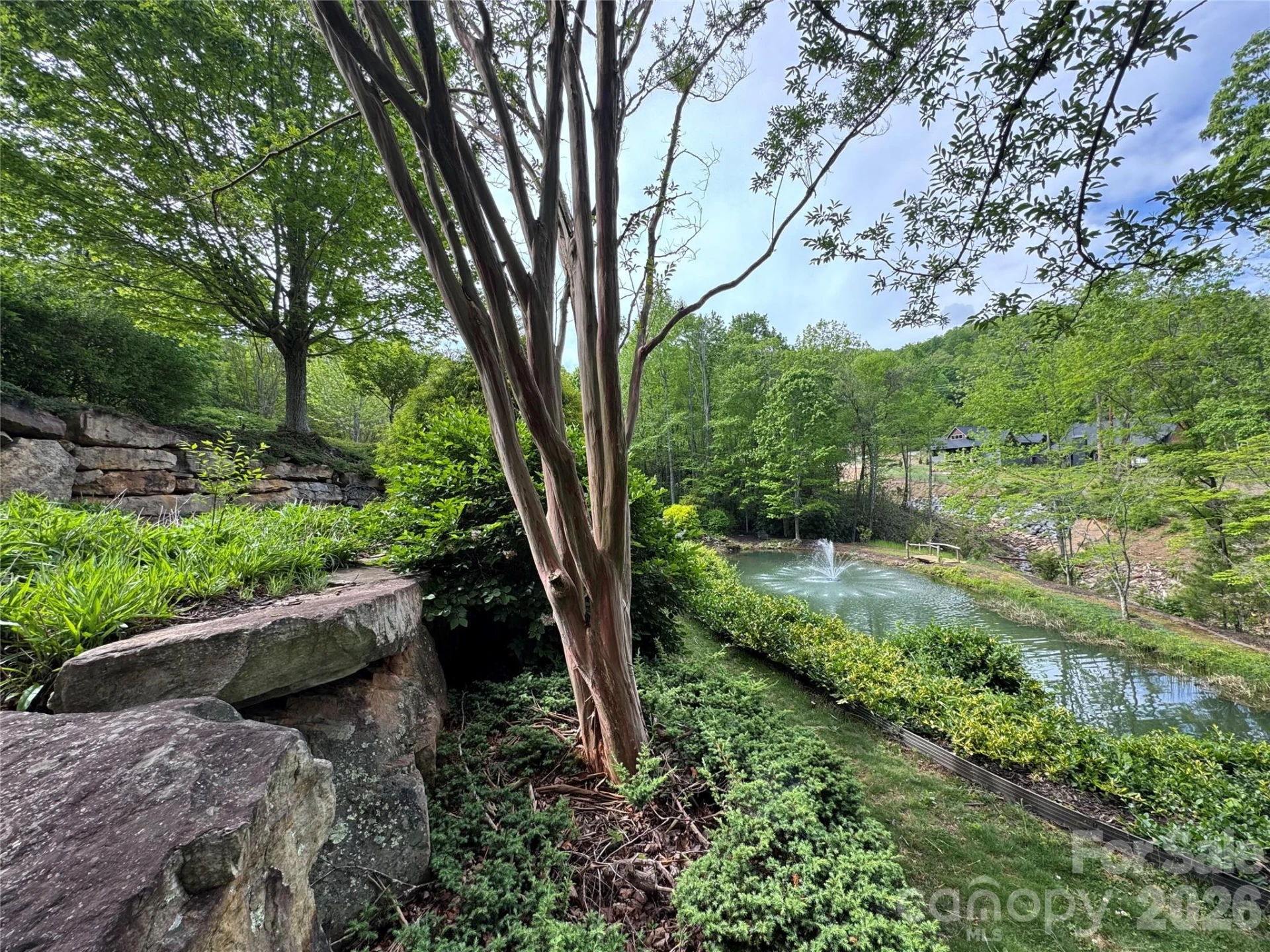 205 Settings Boulevard - Photo 6