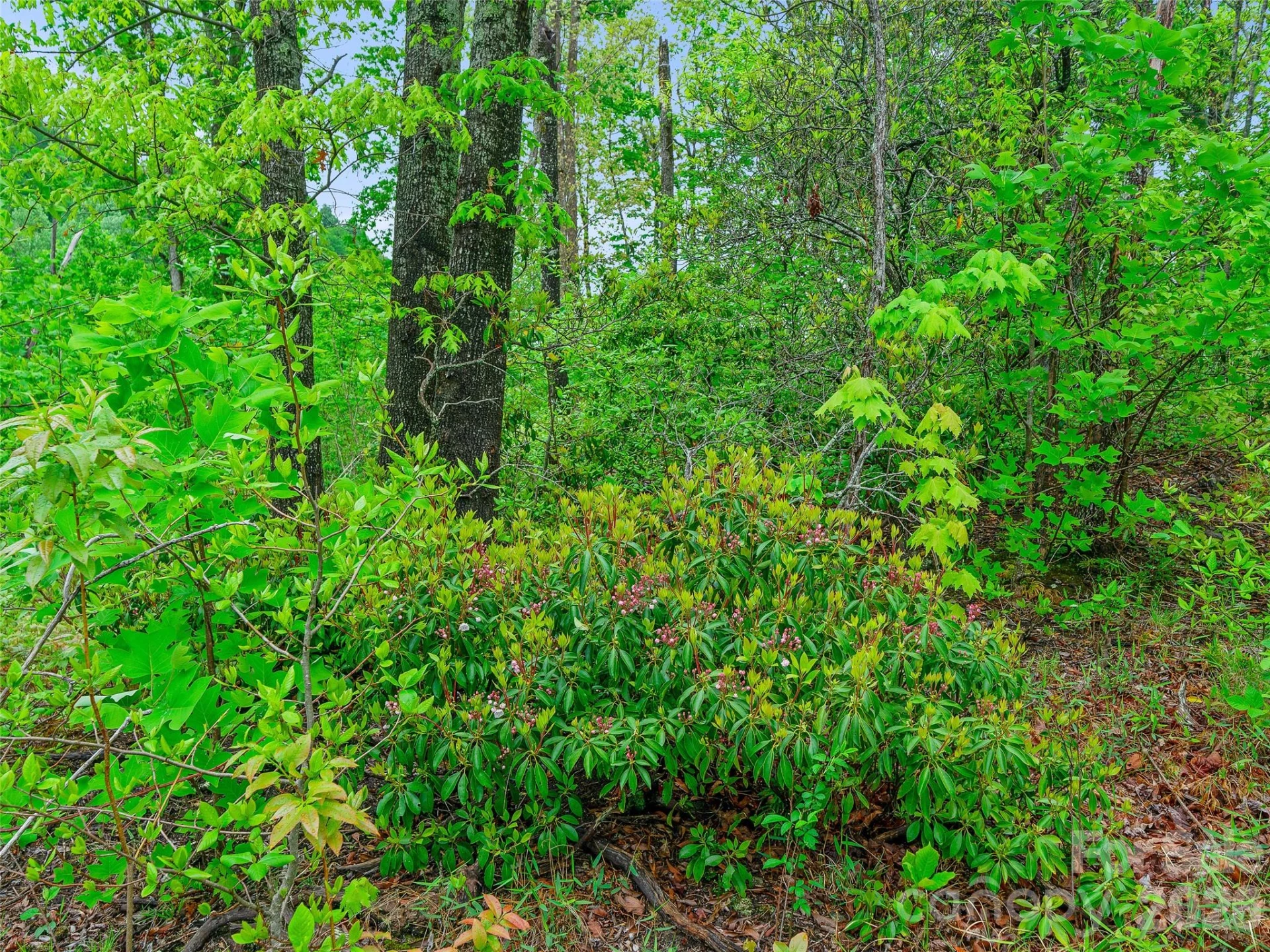2380 Old Fort Road - Photo 22
