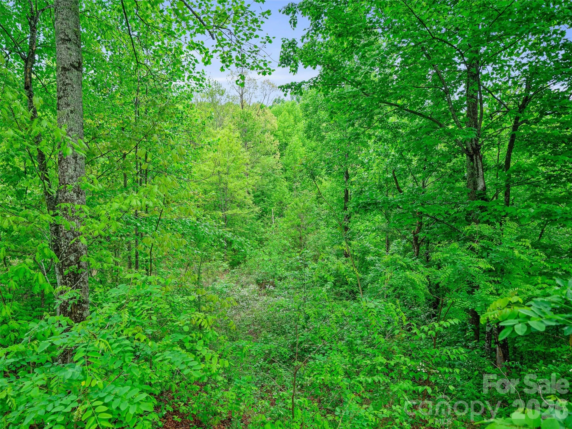 2380 Old Fort Road - Photo 5