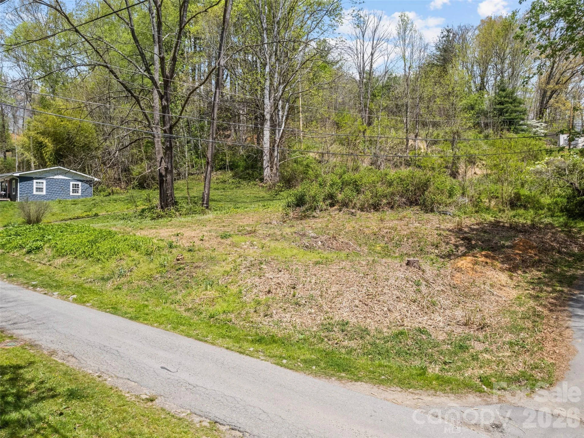 26 Lansing Road - Photo 3