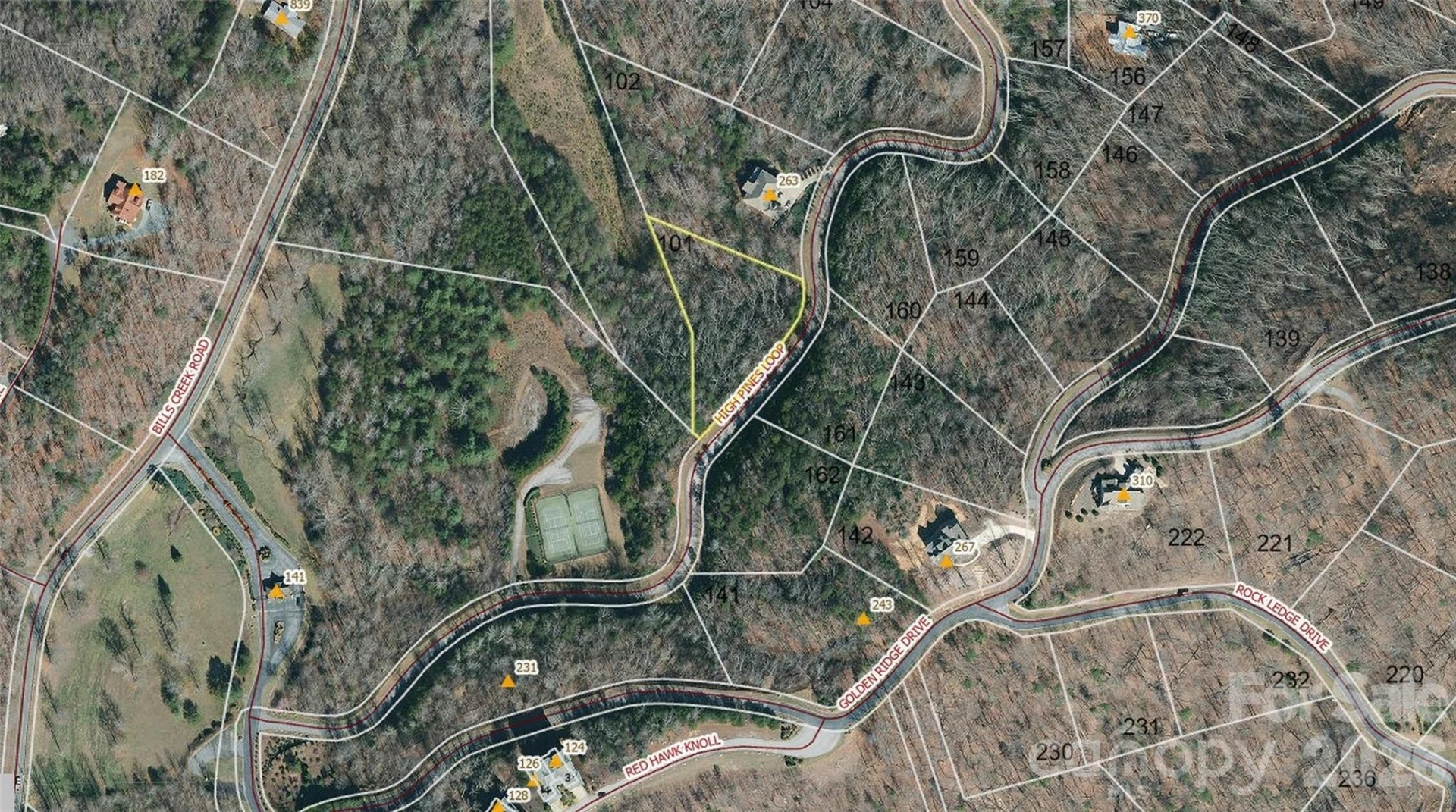 0 High Pines Loop #101 - Photo 2