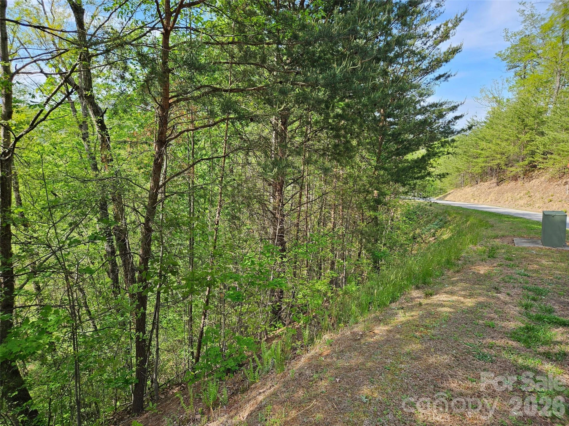 0 High Pines Loop #101 - Photo 6