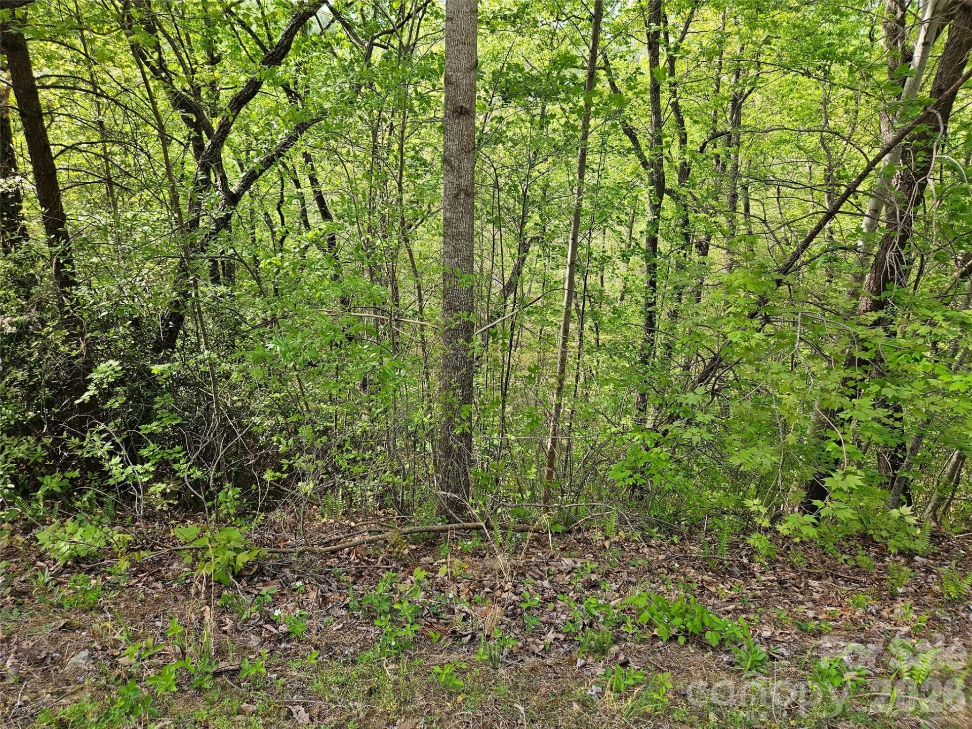 0 High Pines Loop #101 - Photo 8