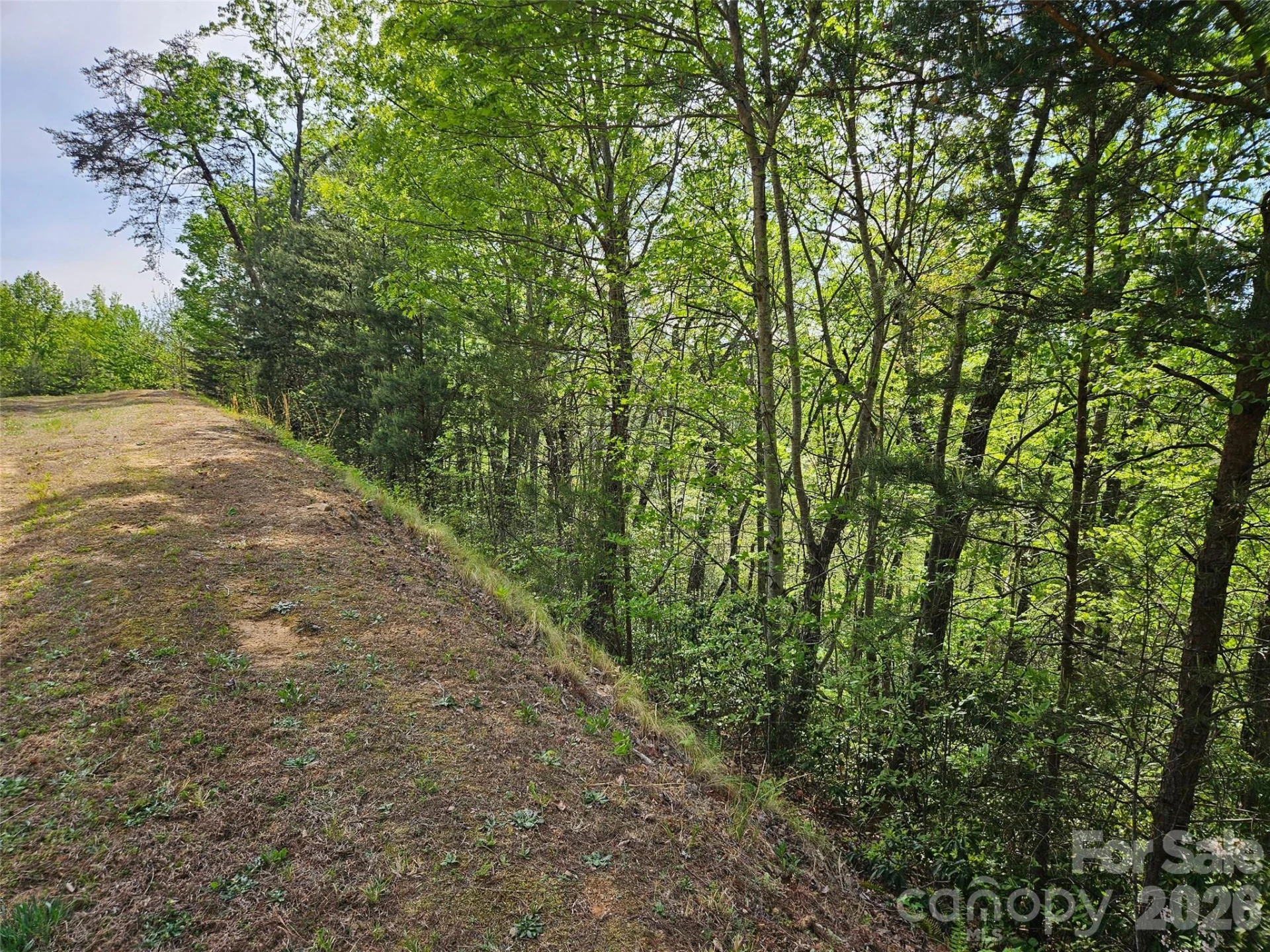 0 High Pines Loop #101 - Photo 11