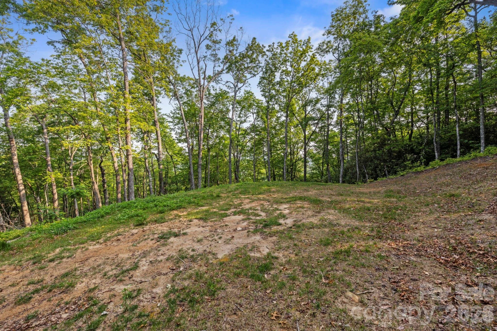 251 Paul McCoy Road