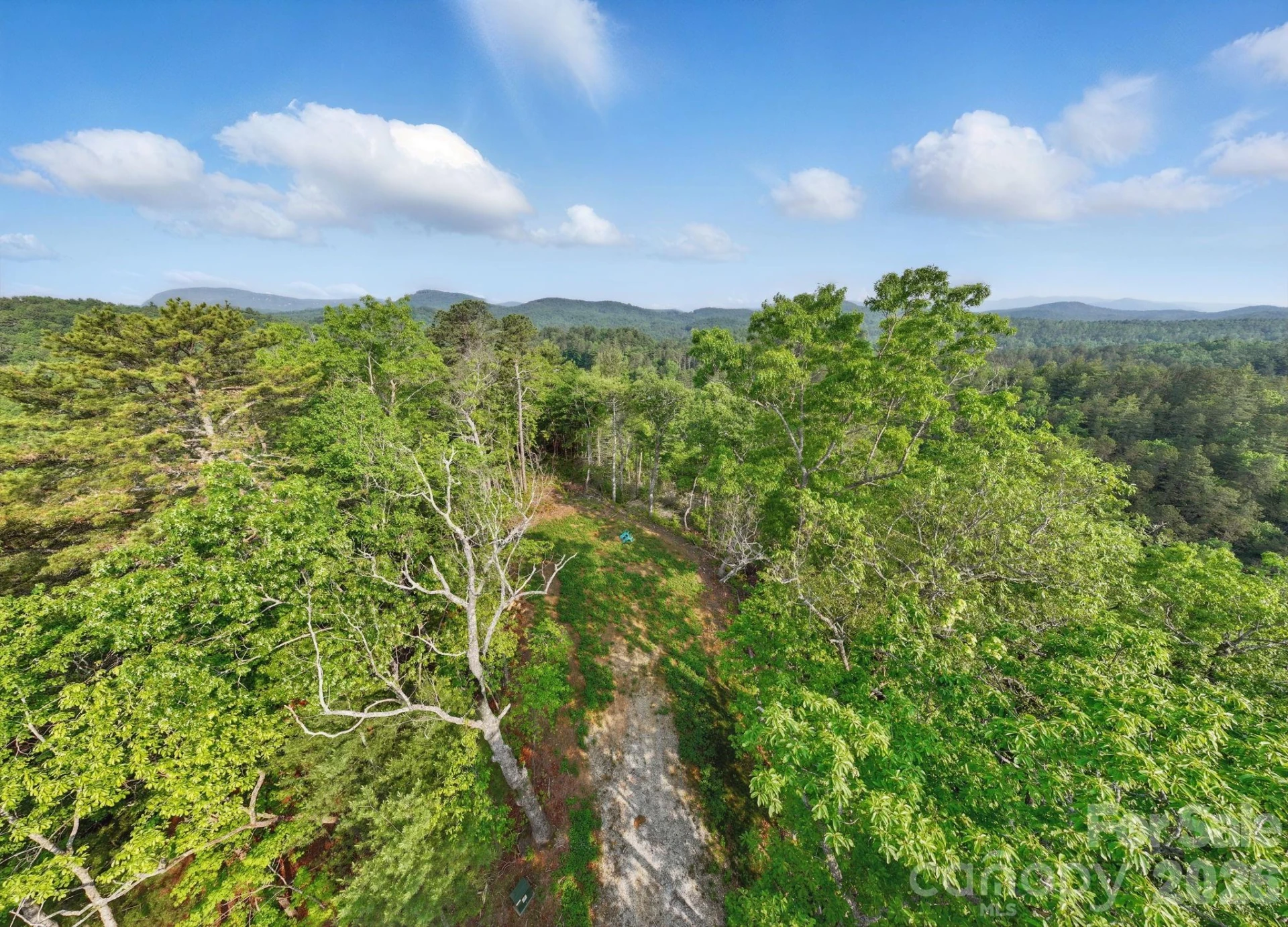 251 Paul McCoy Road - Photo 13