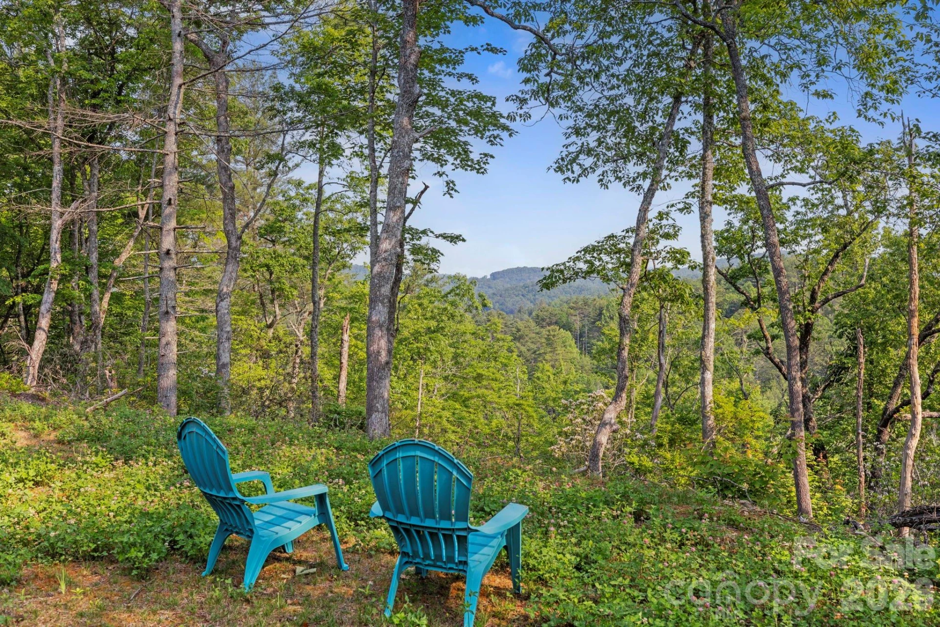 251 Paul McCoy Road - Photo 4