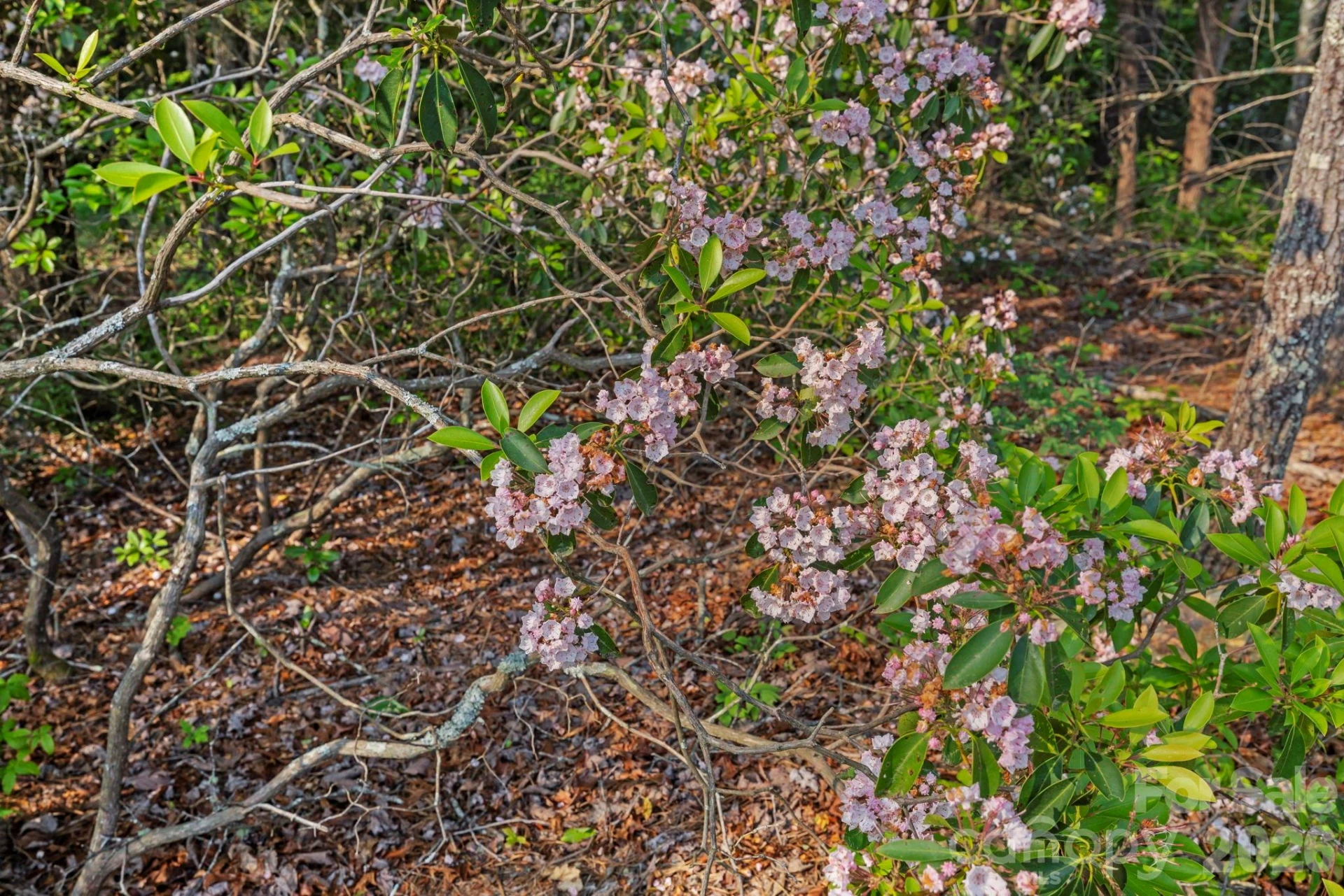 251 Paul McCoy Road - Photo 5