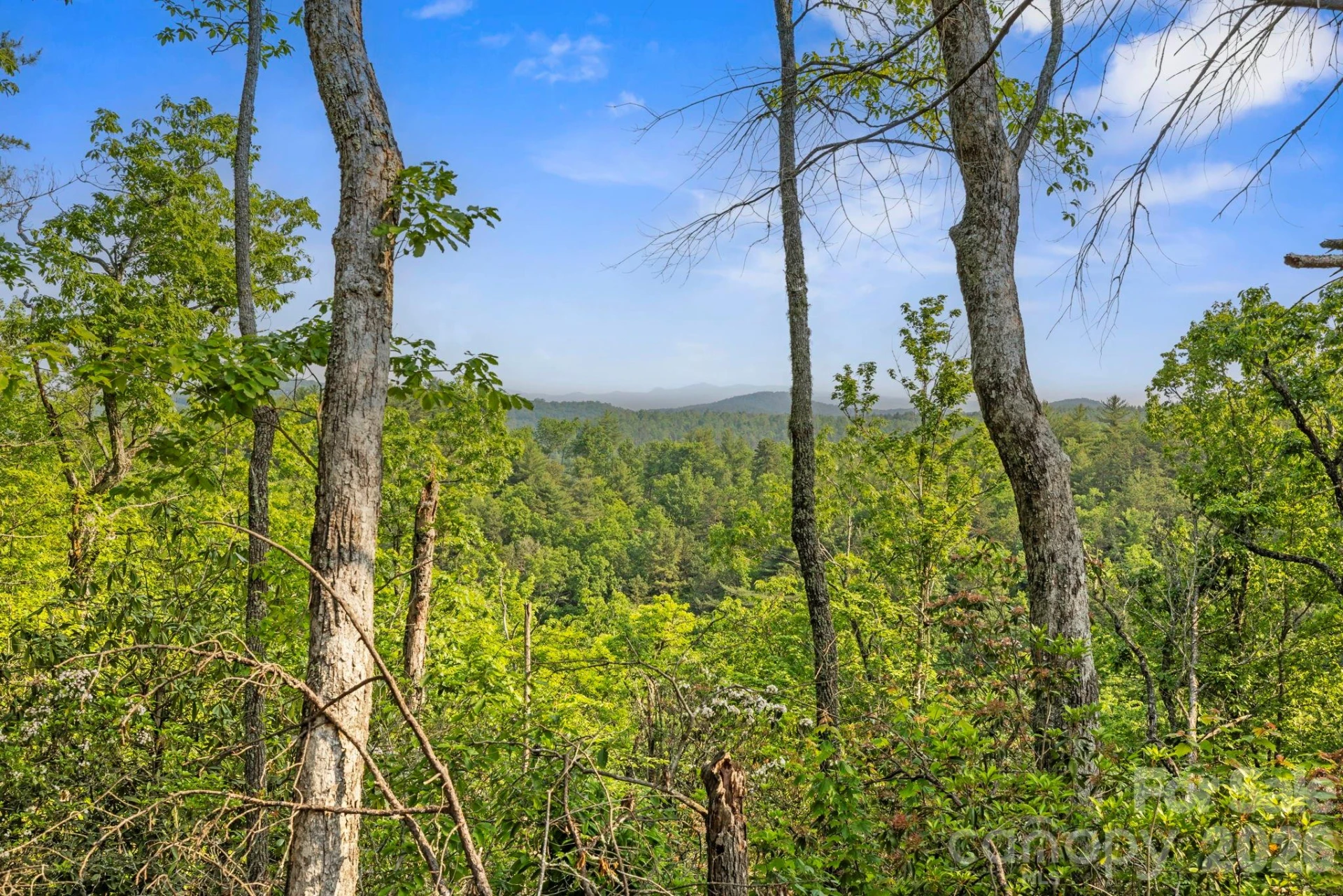 251 Paul McCoy Road - Photo 6