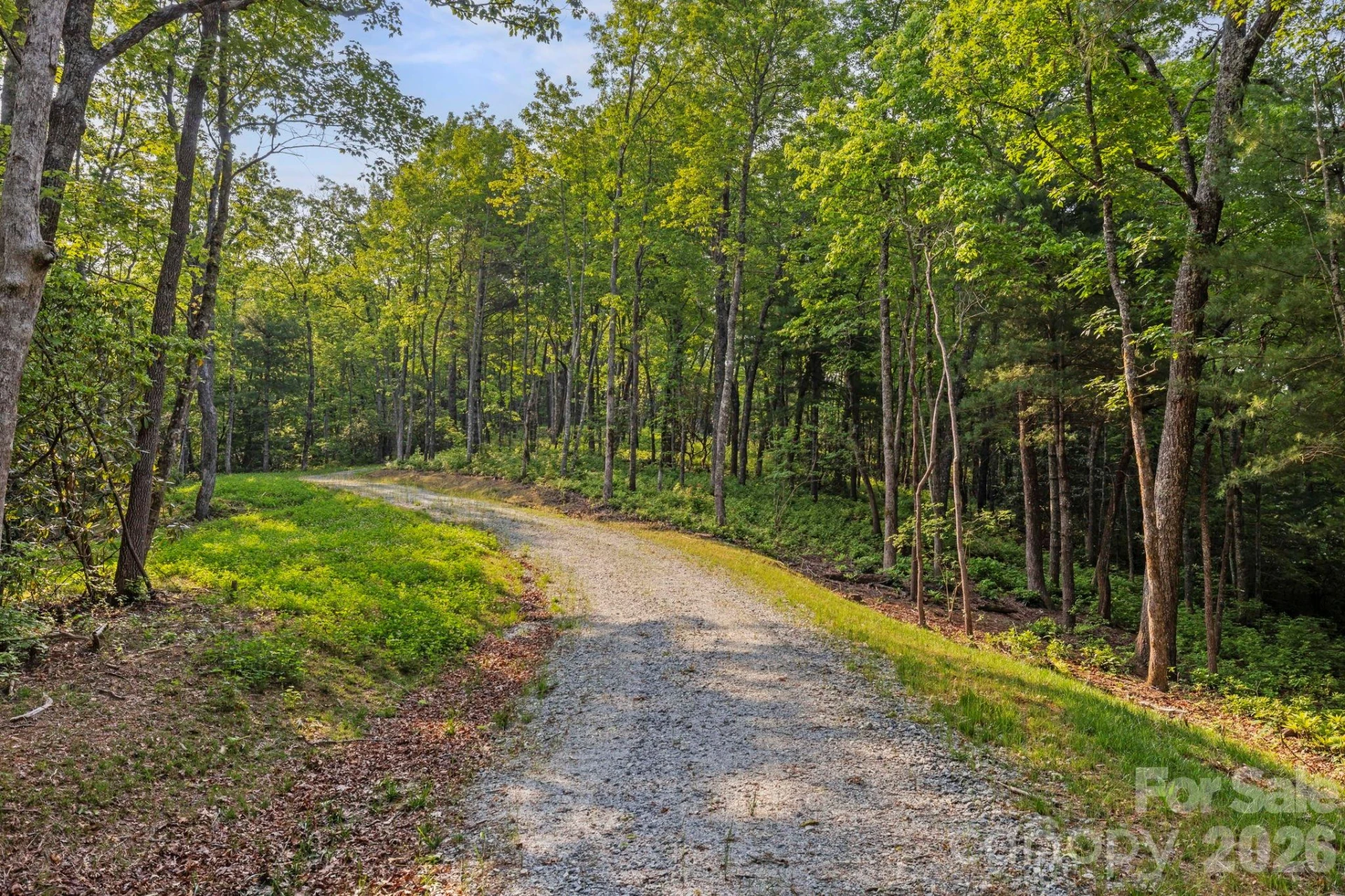 251 Paul McCoy Road - Photo 7