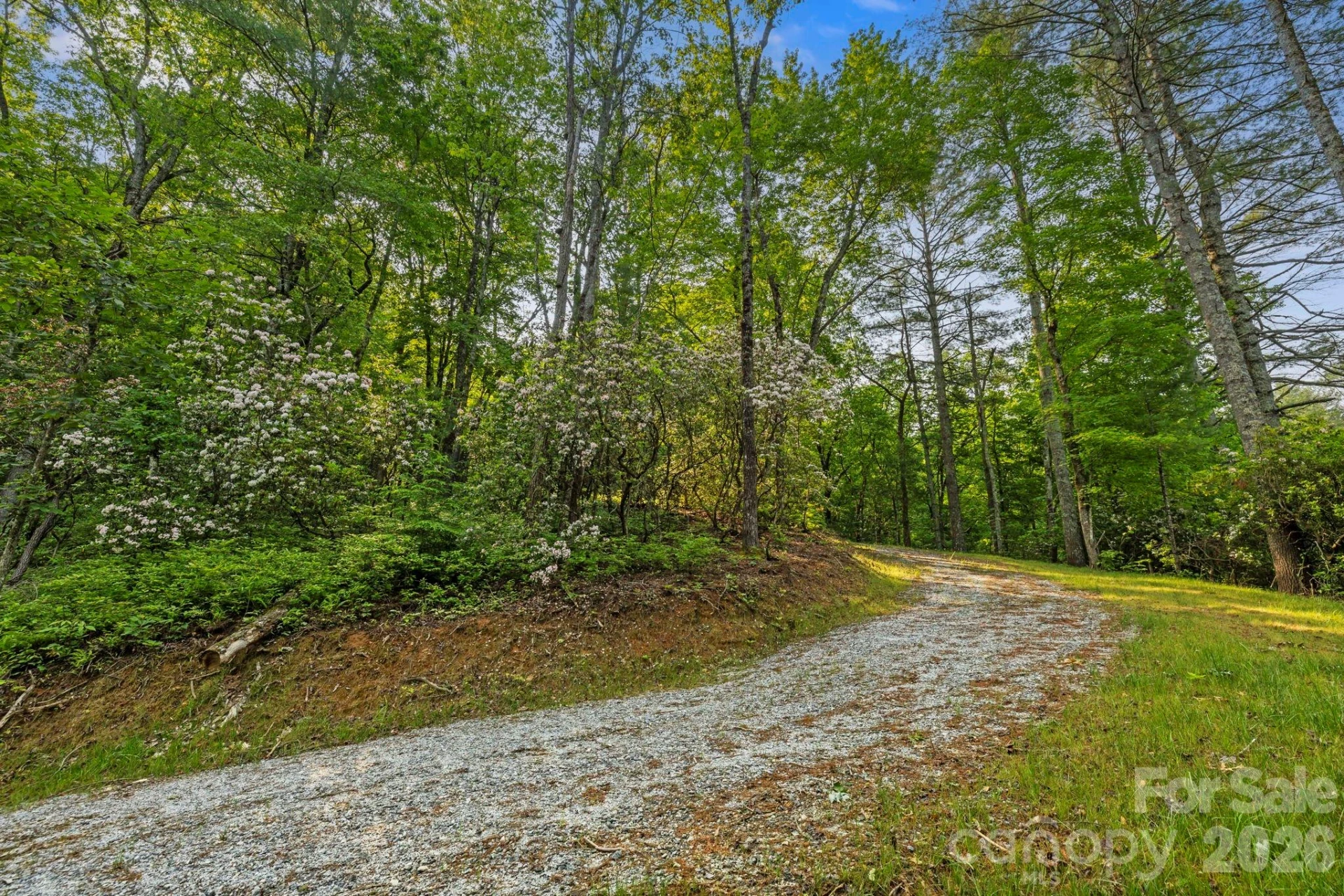 251 Paul McCoy Road - Photo 9