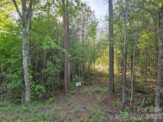 0 Old Hollis Road, Ellenboro, NC, 28040