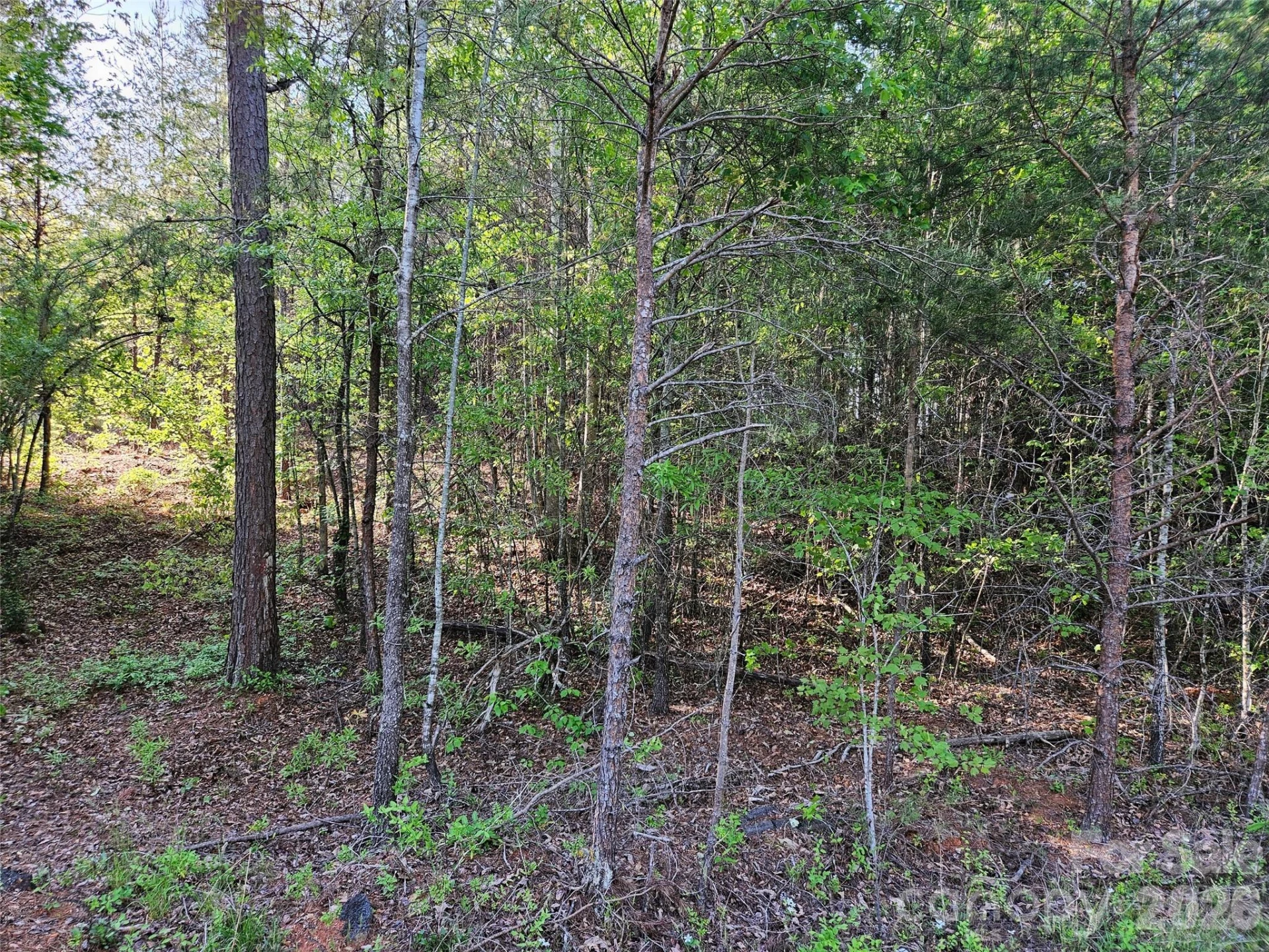0 Old Hollis Road #2 - Photo 15