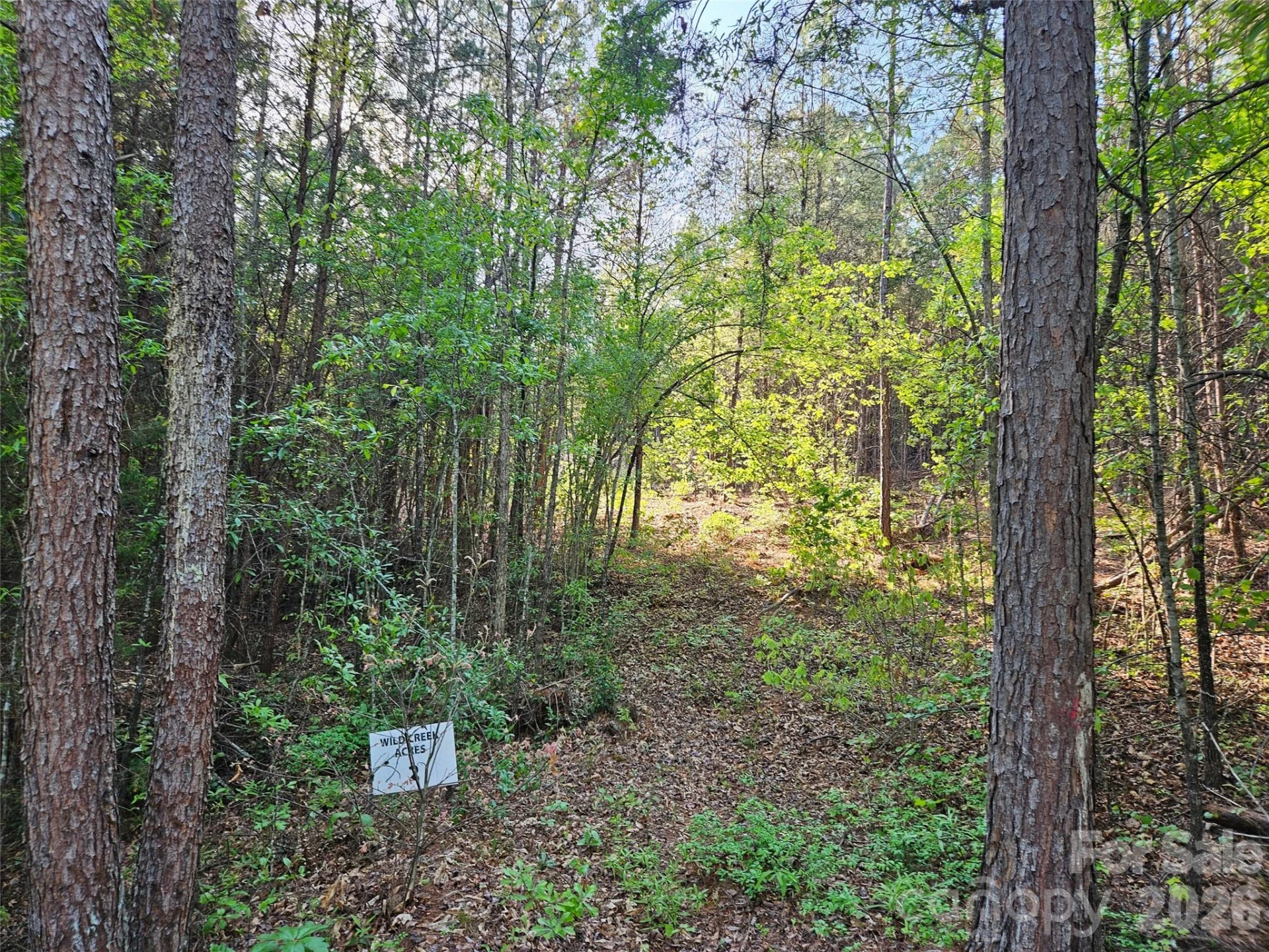 0 Old Hollis Road #2 - Photo 5