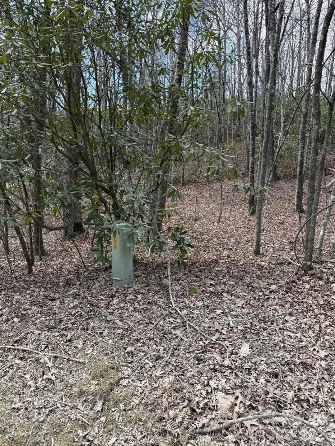 00 Line Runner Ridge Road - Photo 13