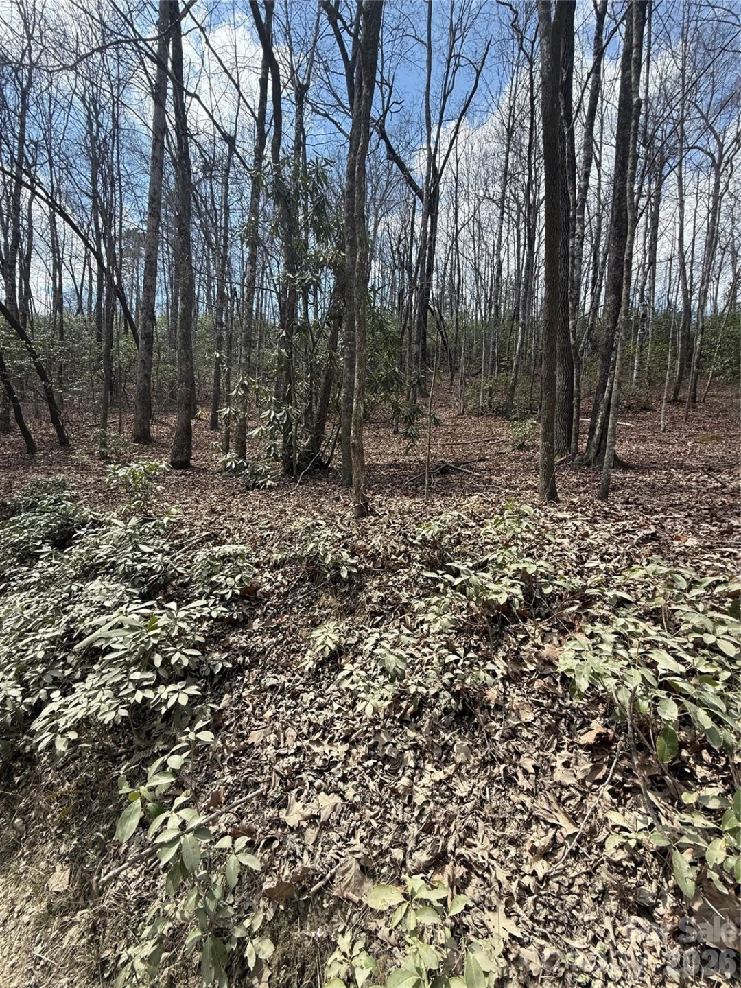 00 Line Runner Ridge Road - Photo 14