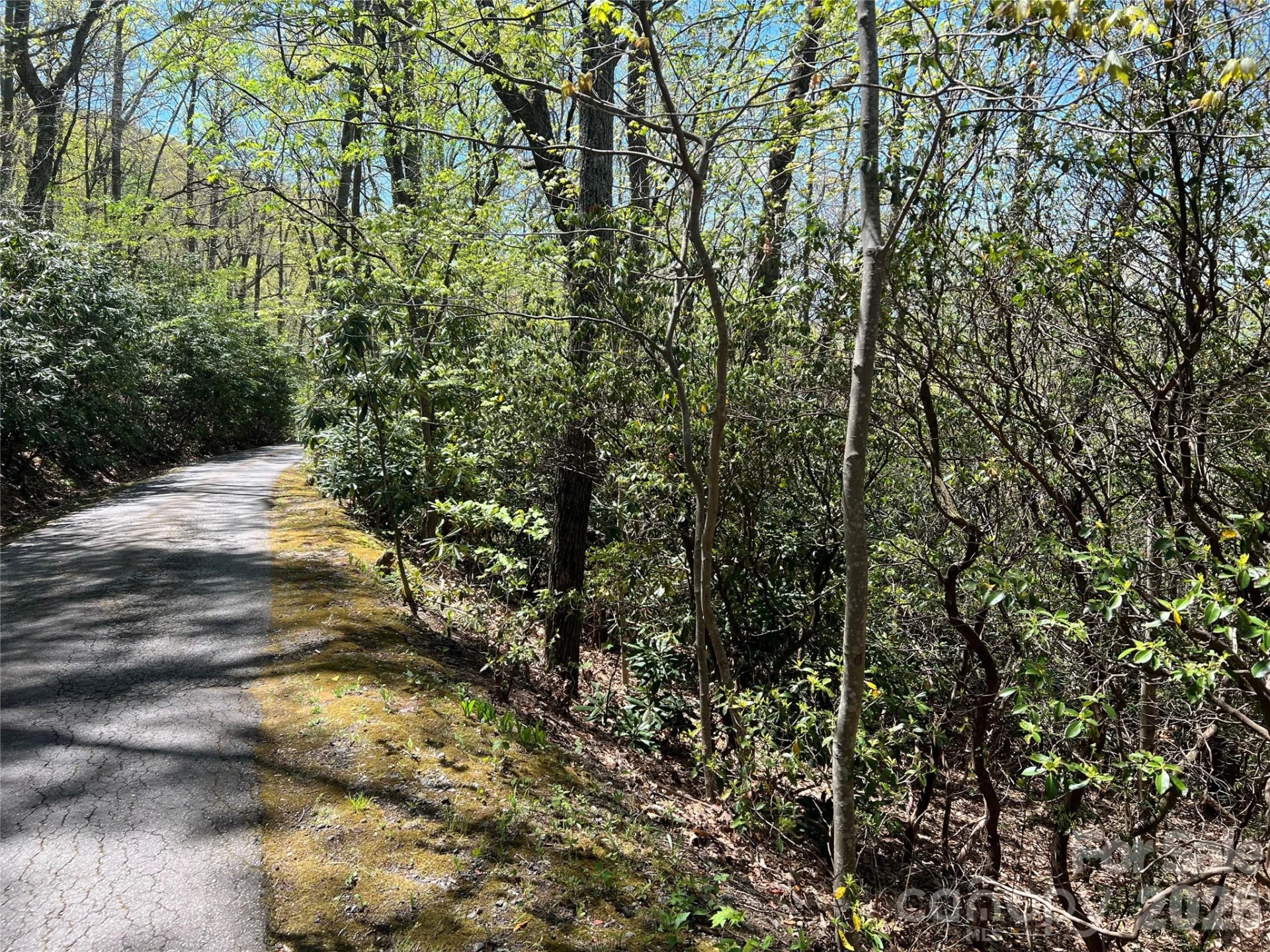 99999 Summer Haven Road - Photo 2