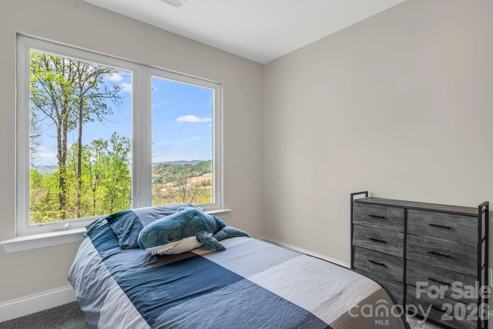 35 Chesten Mountain Drive - Photo 30
