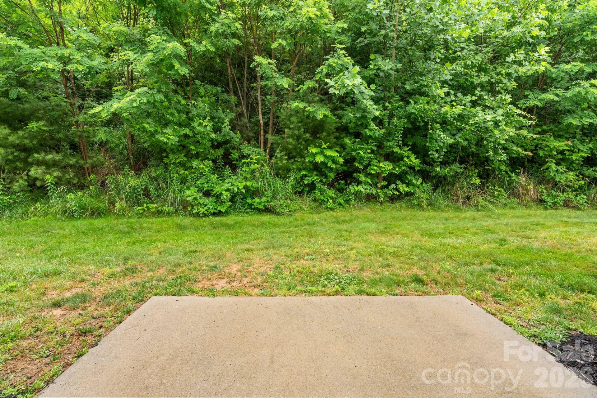 120 Alpine Ridge Drive - Photo 27