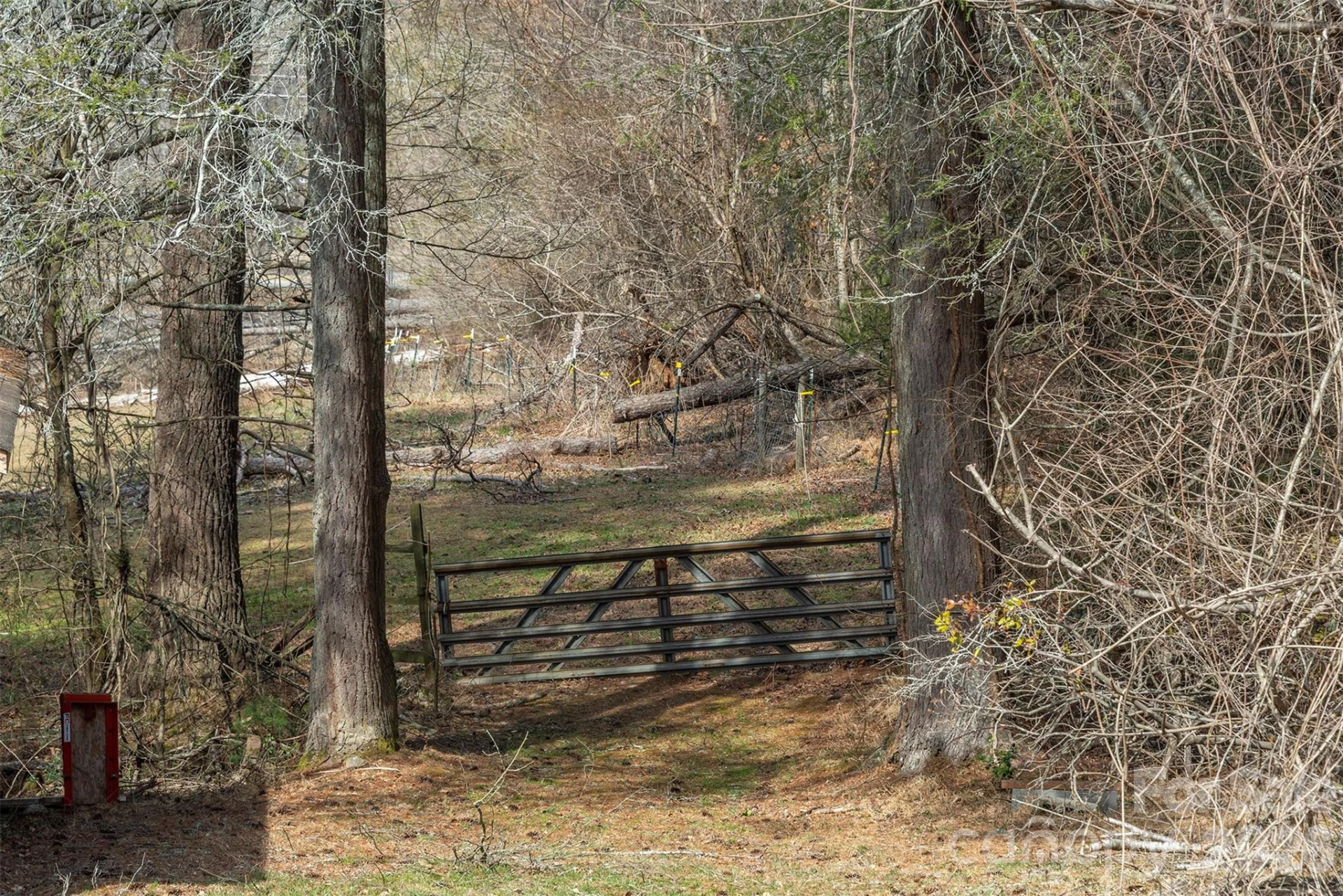 1720 Brevard Road - Photo 2