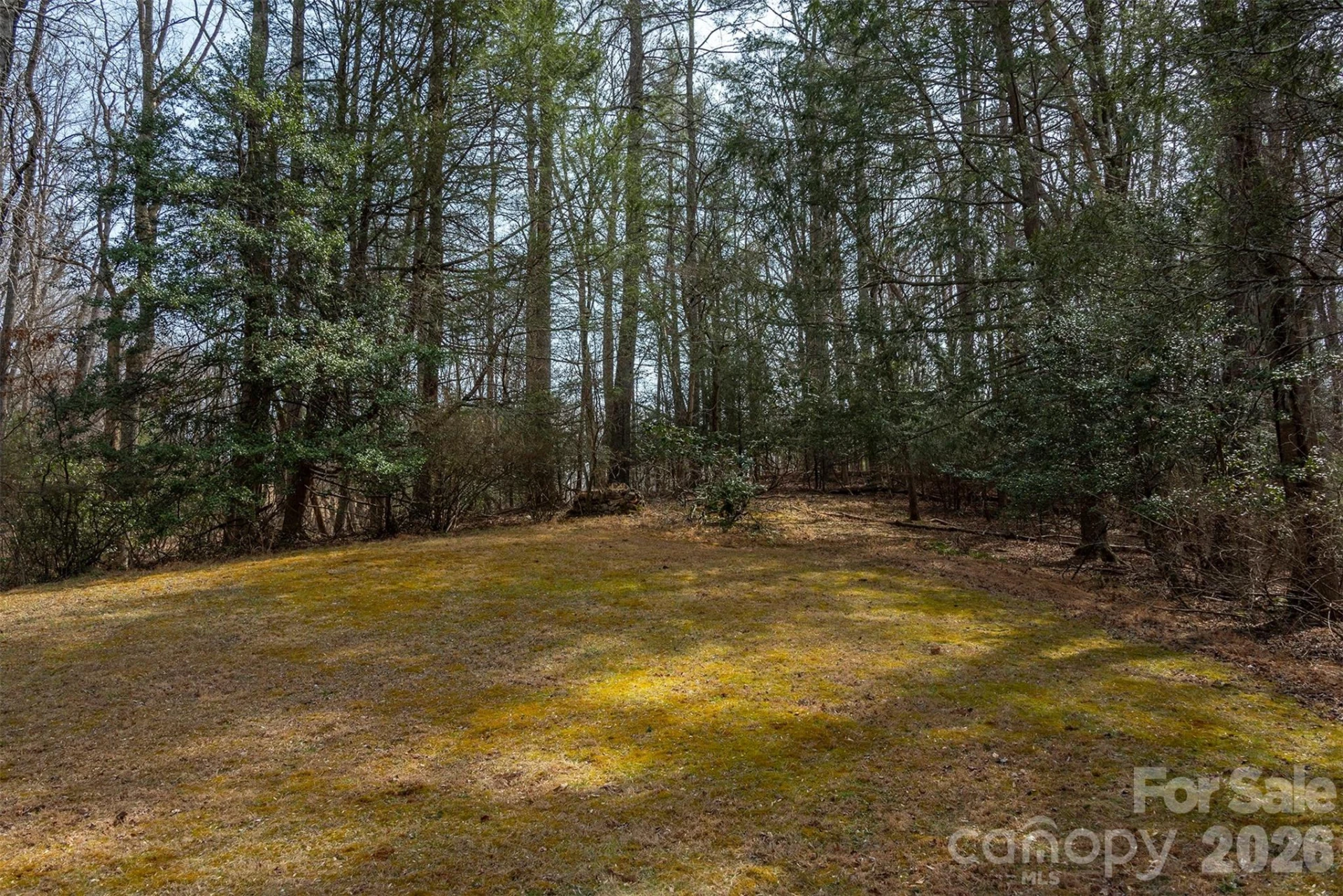 1720 Brevard Road - Photo 4