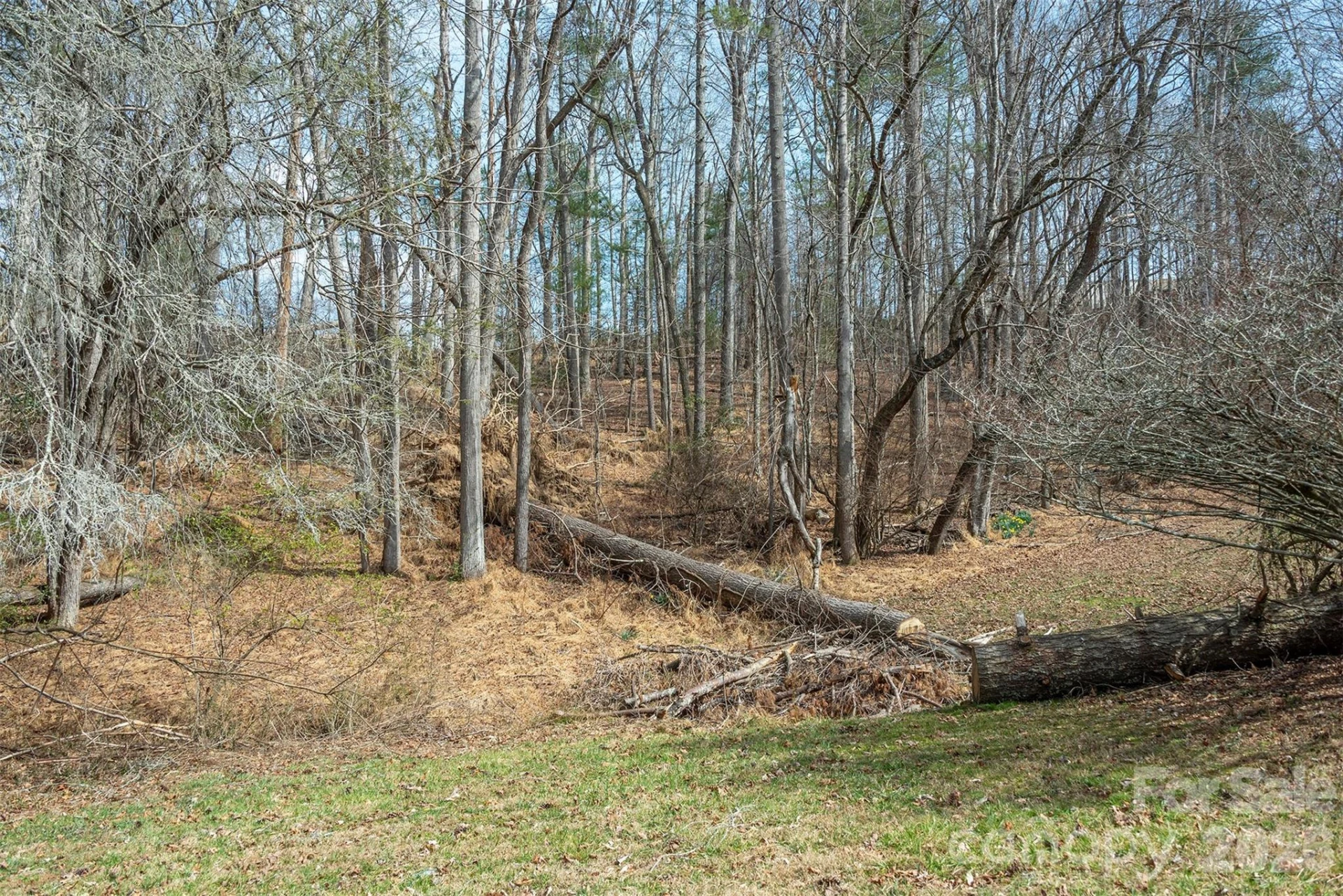 1720 Brevard Road - Photo 6