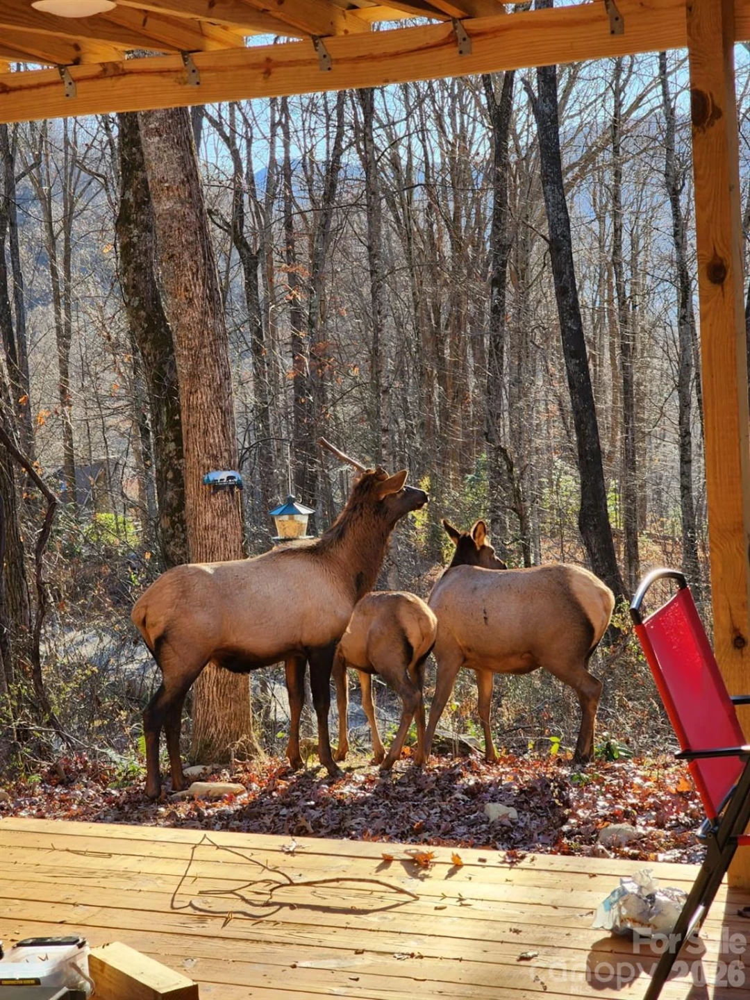 16 Standing Rock Ridge - Photo 17