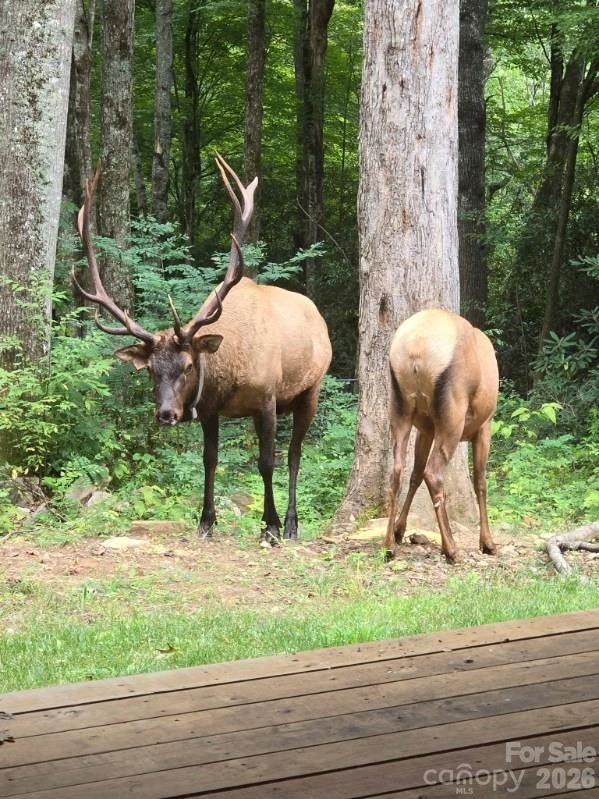 16 Standing Rock Ridge - Photo 20
