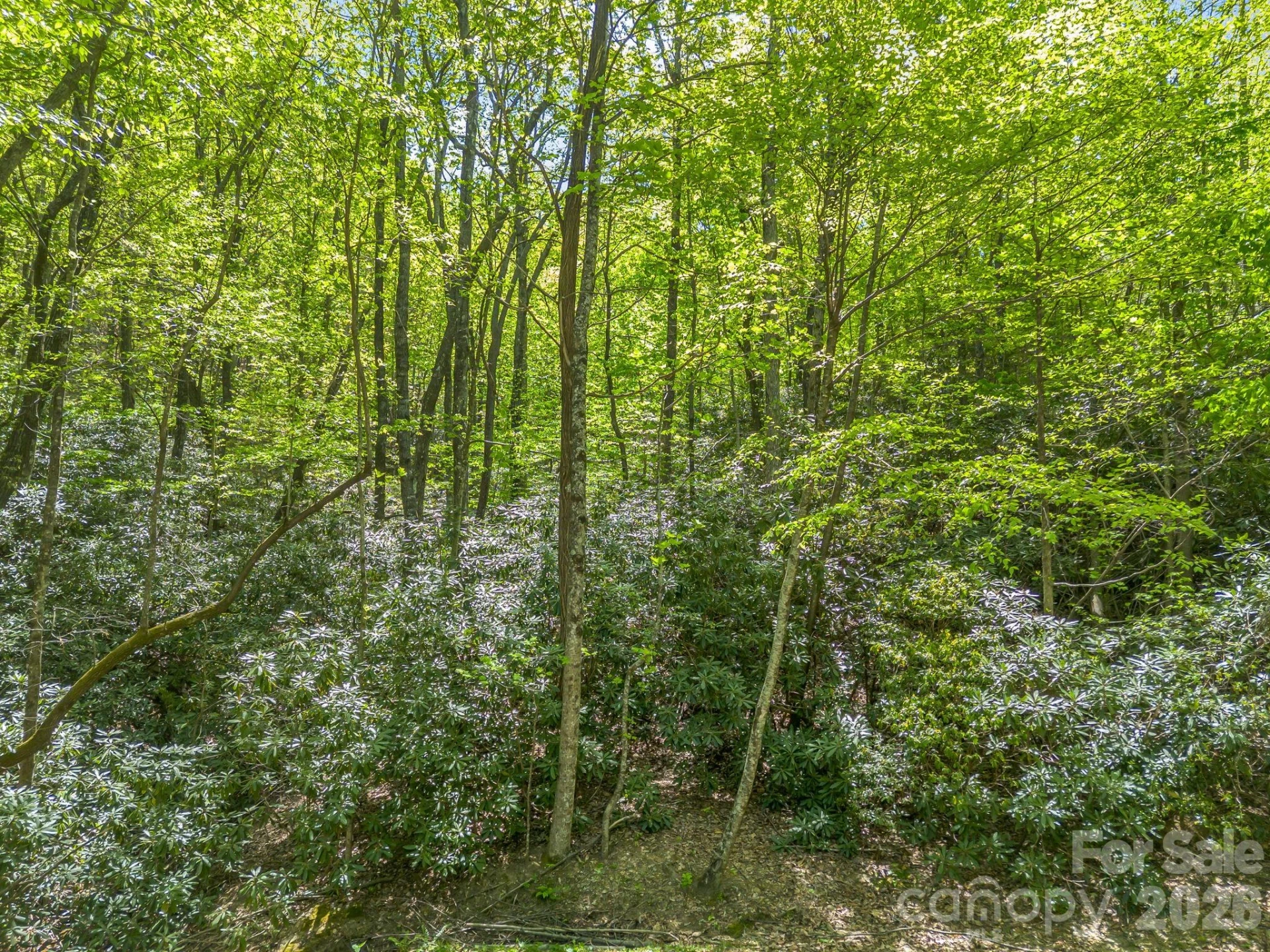00 Lakeview Drive #414/415 - Photo 14