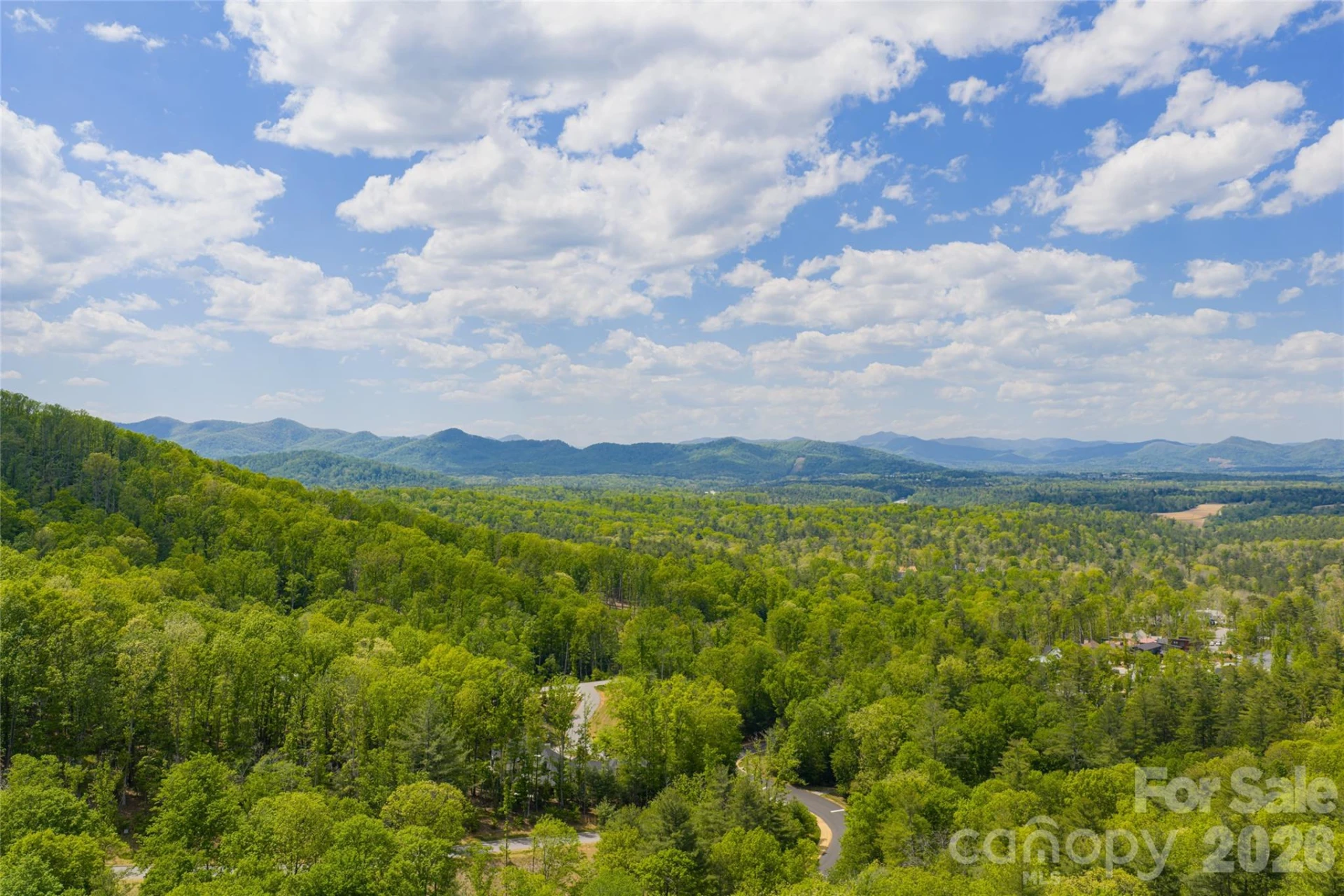 693 Tea House Drive #905 - Photo 2