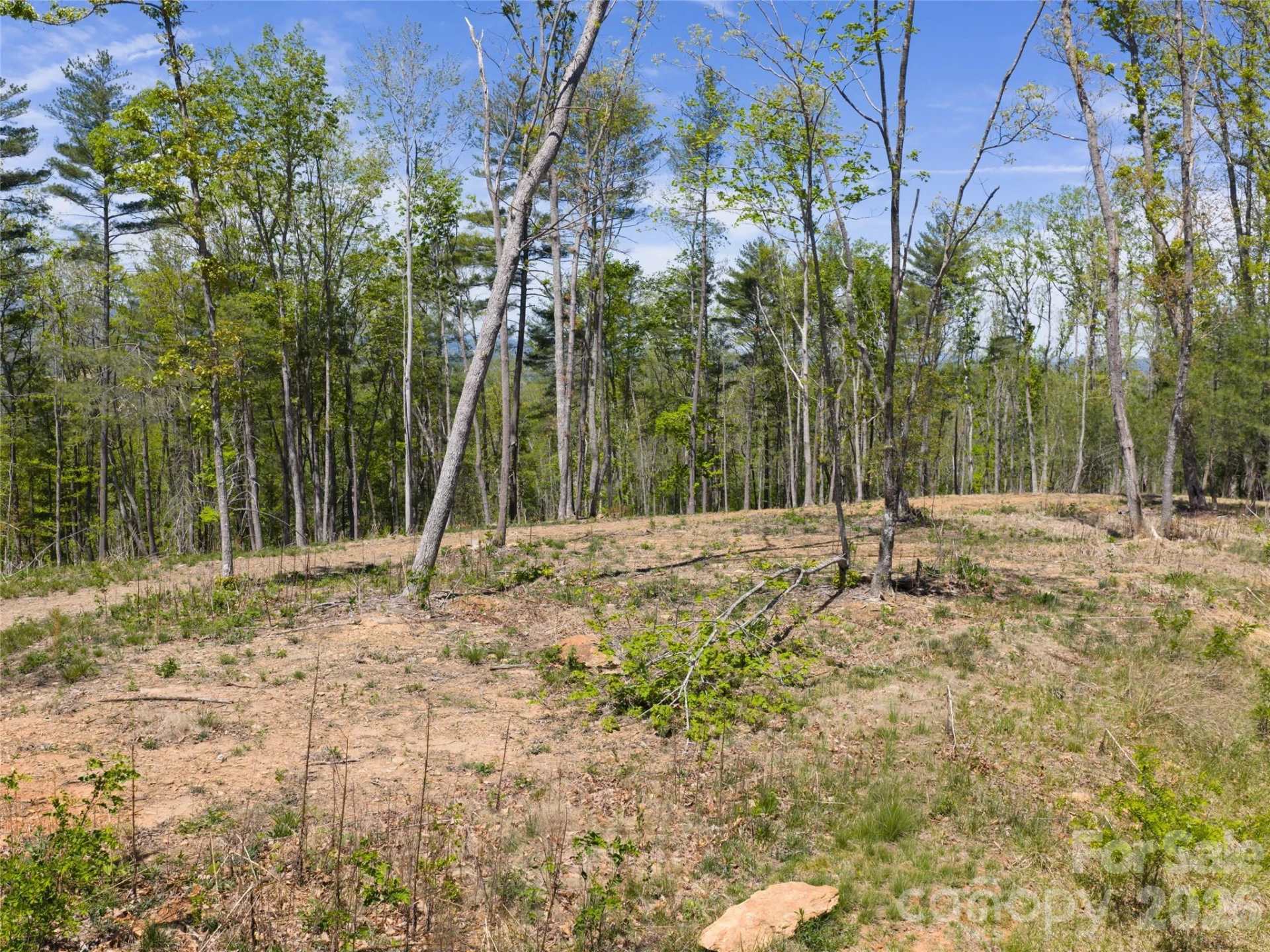 693 Tea House Drive #905 - Photo 13