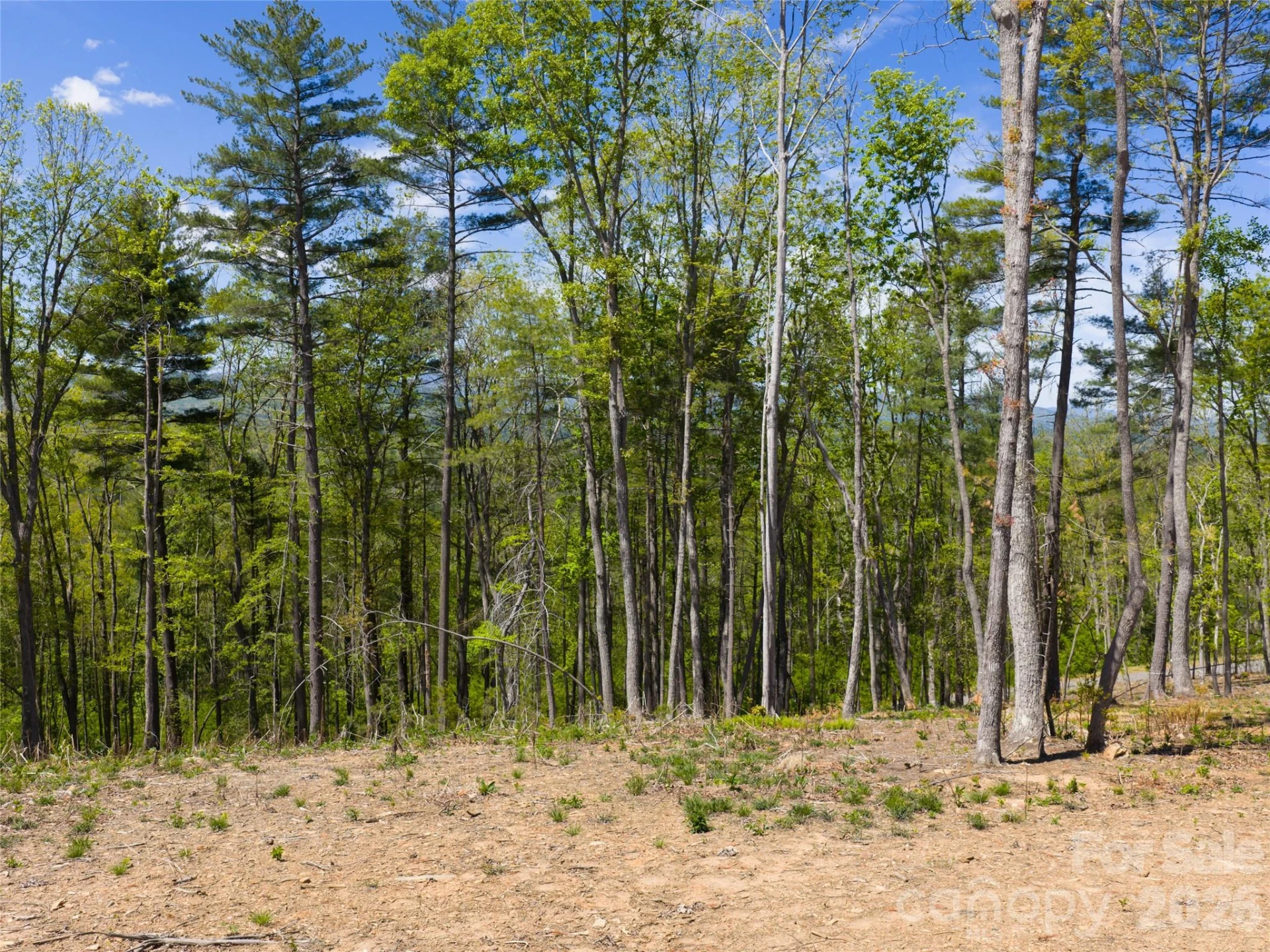 693 Tea House Drive #905 - Photo 14